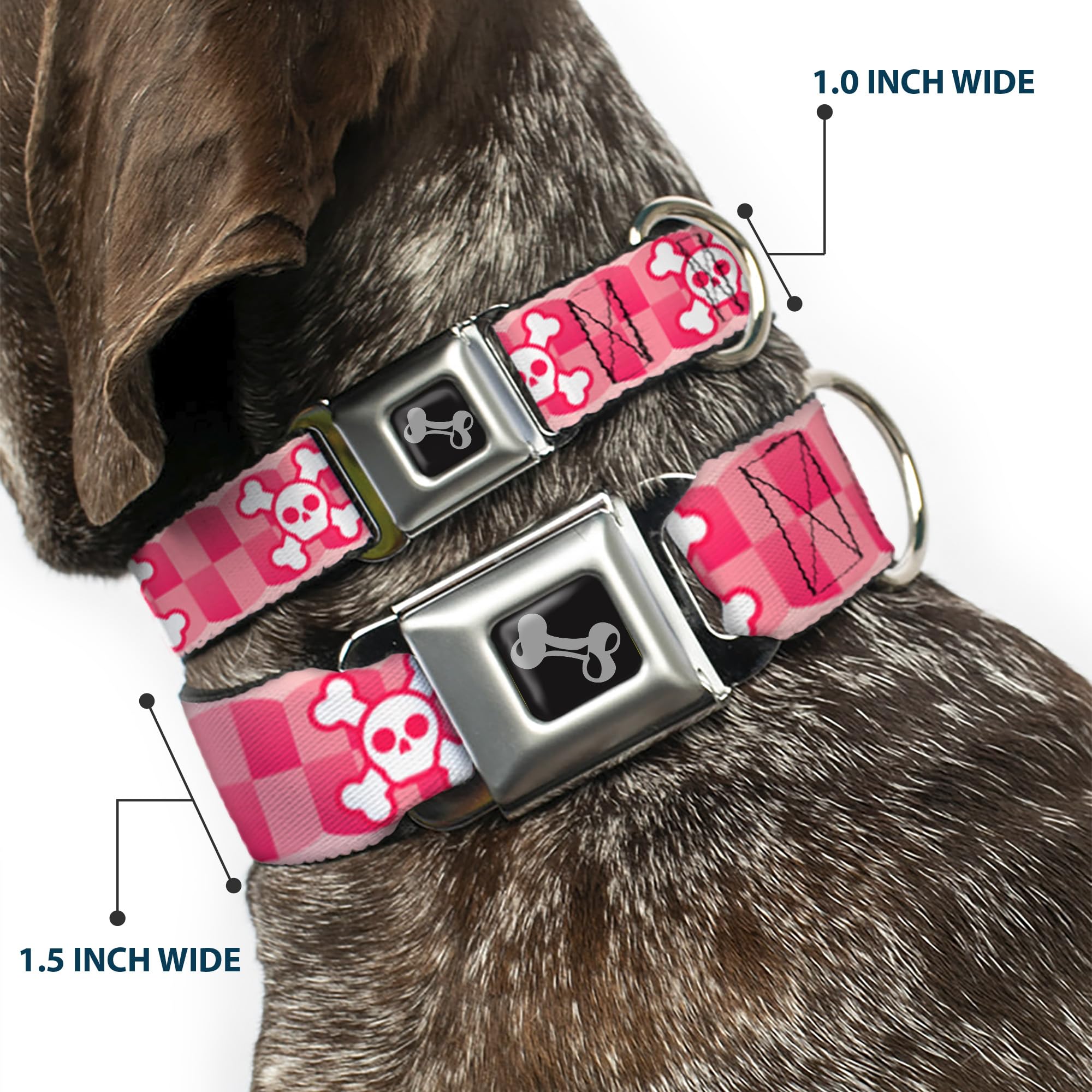 Buckle-Down Seatbelt Buckle Dog Collar - Cute Skulls W/Checkers Pinks/White - 1.5'' Wide - Fits 18-32'' Neck - Large