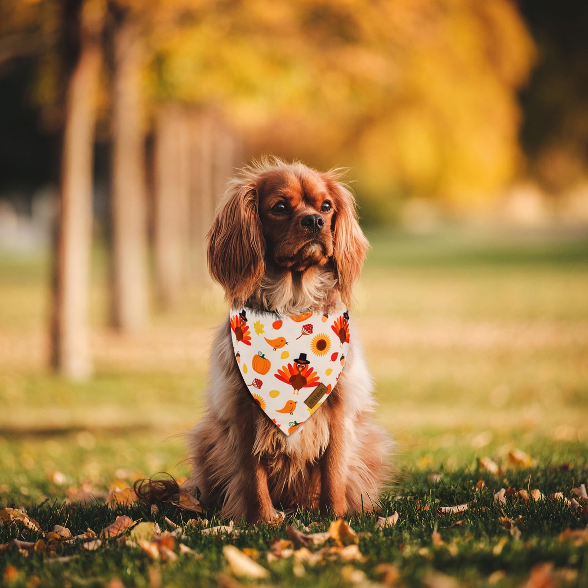 Thloh Thanksgiving Dog Bandanas - 2 Pack Reversible Fall Dog Scarf For Boy & Girl, Premium Durable Fabric, Autumn Bandana For Me