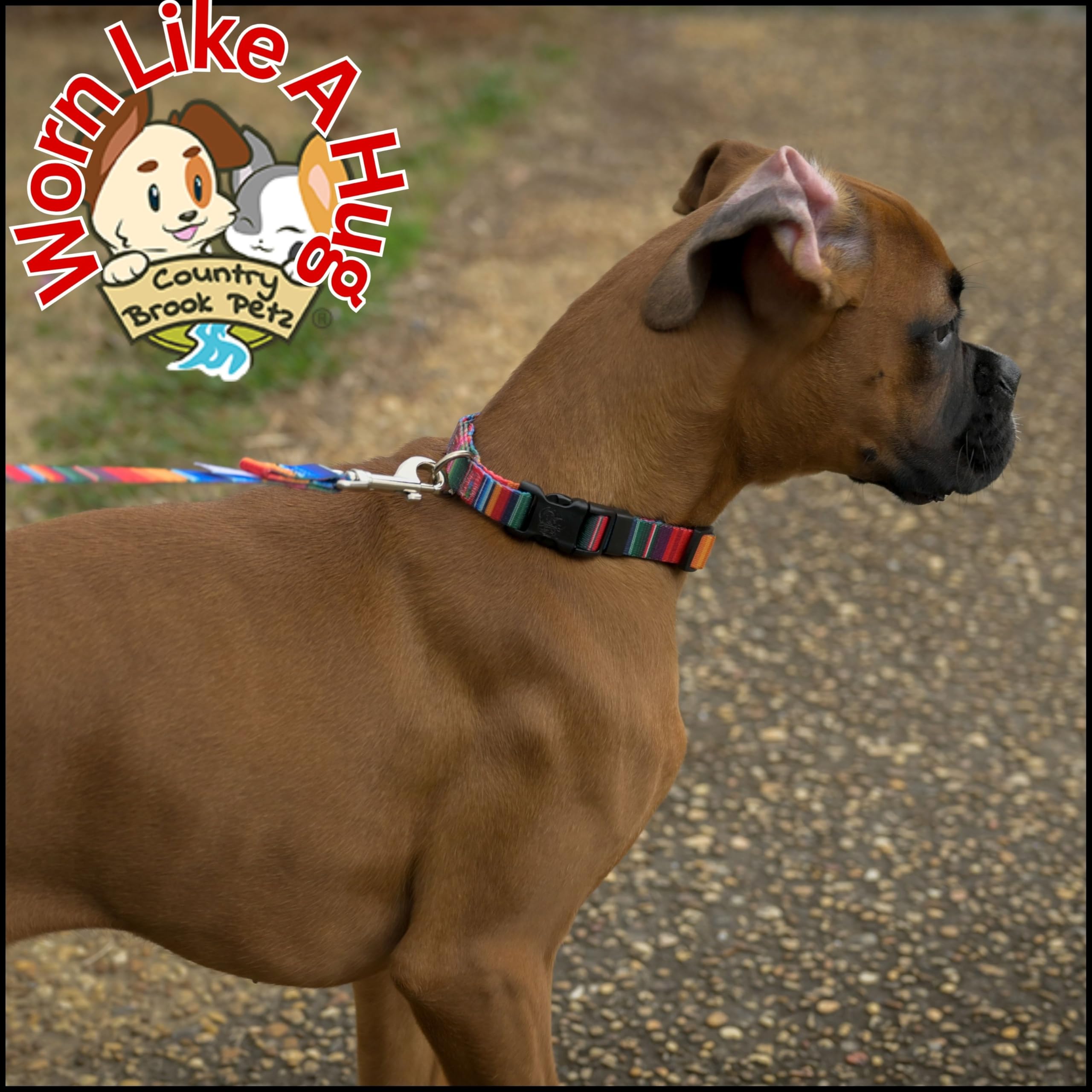 Country Brook Petz - Deluxe Serape Dog Collar - Made In The U.S.A. - Country And Western Collection Featuring Rustic Designs (5/