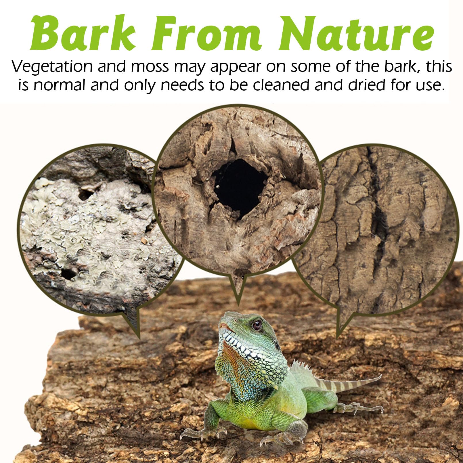 Apatal 1 Lb Natural Cork Bark for Reptiles - Bedding Substrate for Bearded Dragons, Snakes, Spiders, Crabs, Geckos, Tortoises - Wood