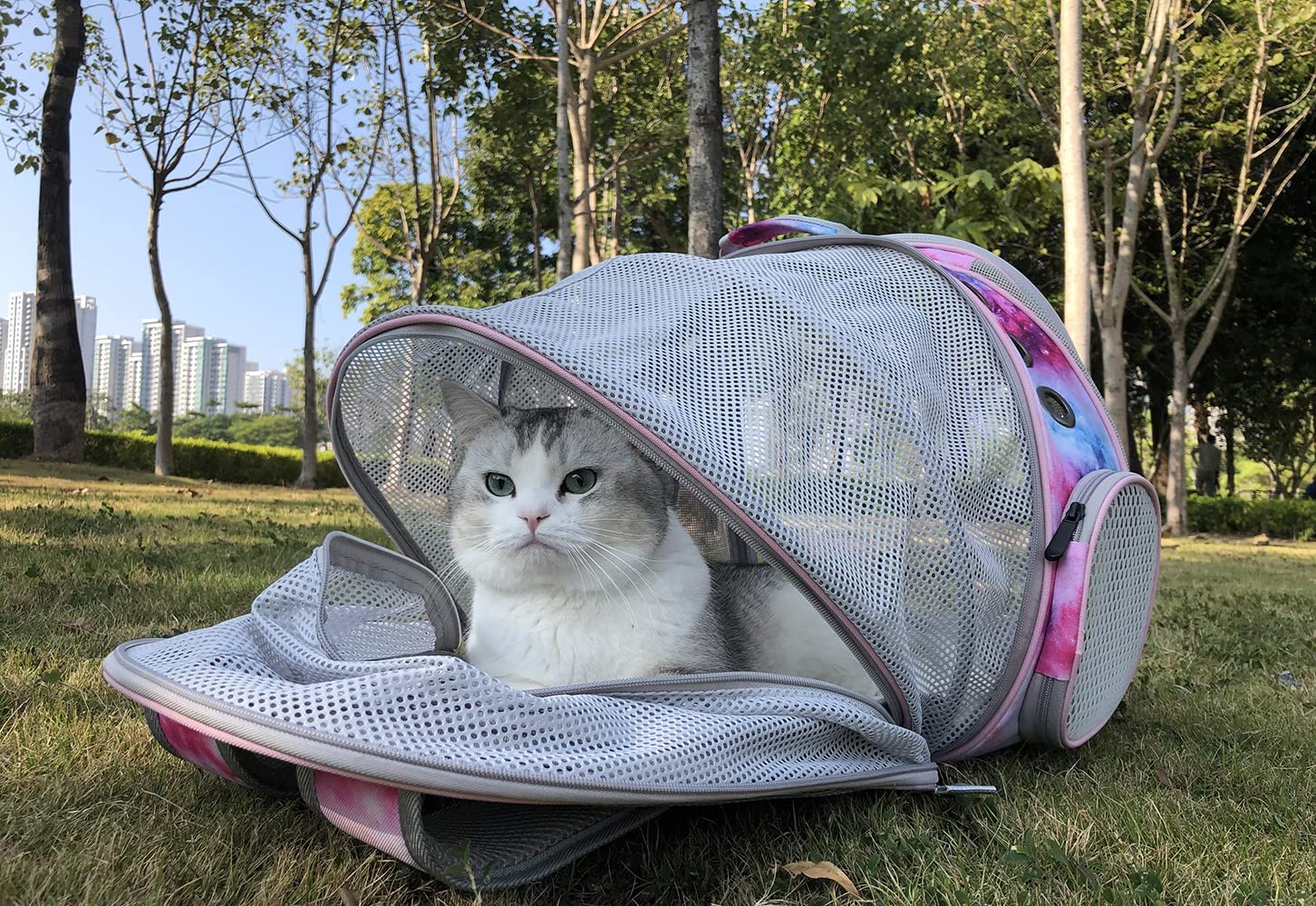 Dual Expandable Cat Backpack Carrier, Fit Up To 20 Lbs, Galaxy Theme Printed Artwork With Front And Back Extension Pet Carrier Backpack For Carrying Large Fat Cat And Small Puppy Book Bag