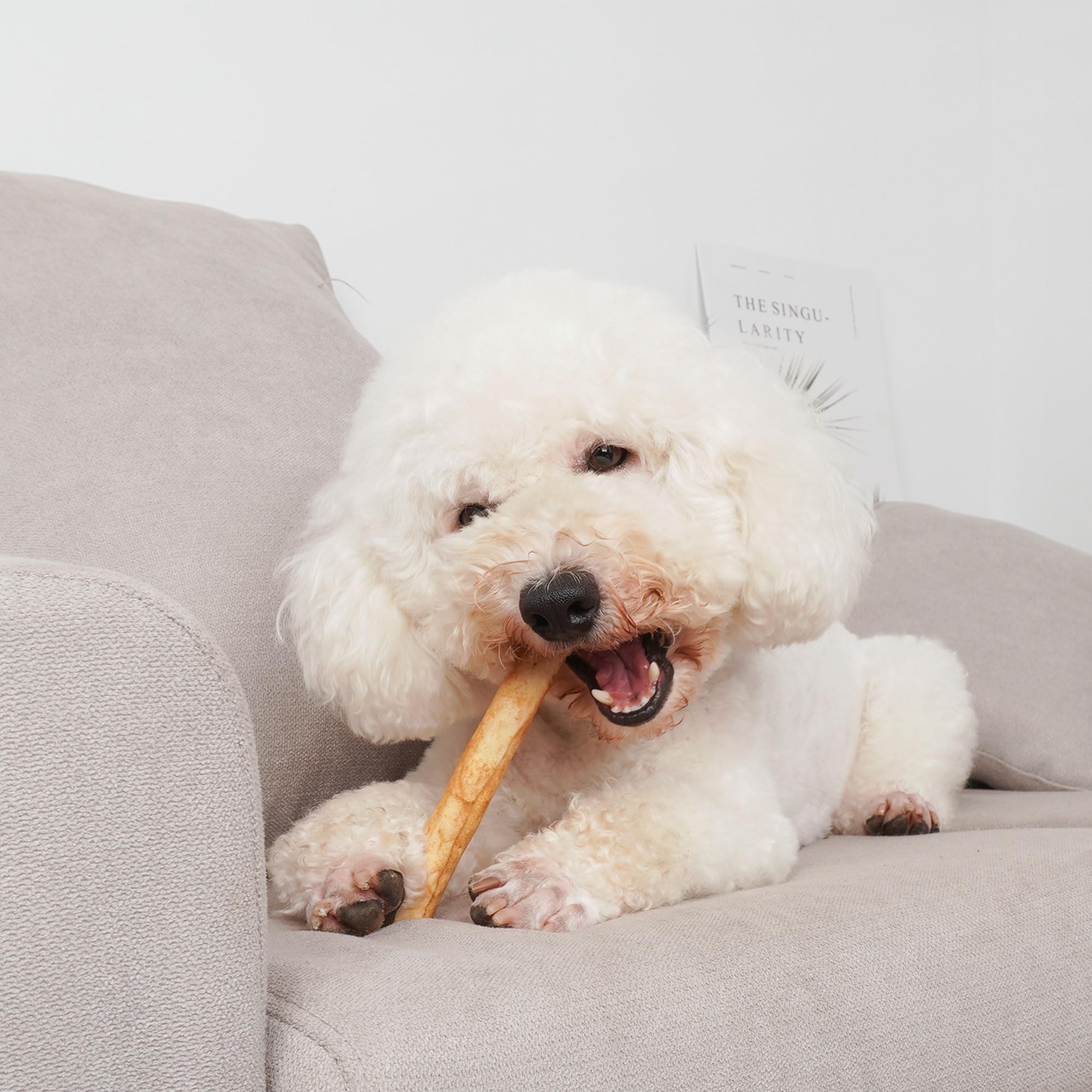 MON2SUN Dog Rawhide Rolls Twist Sticks Chew Treats Chicken Flavor for Puppy and Small Dogs, 40 Count(Pack of 1)