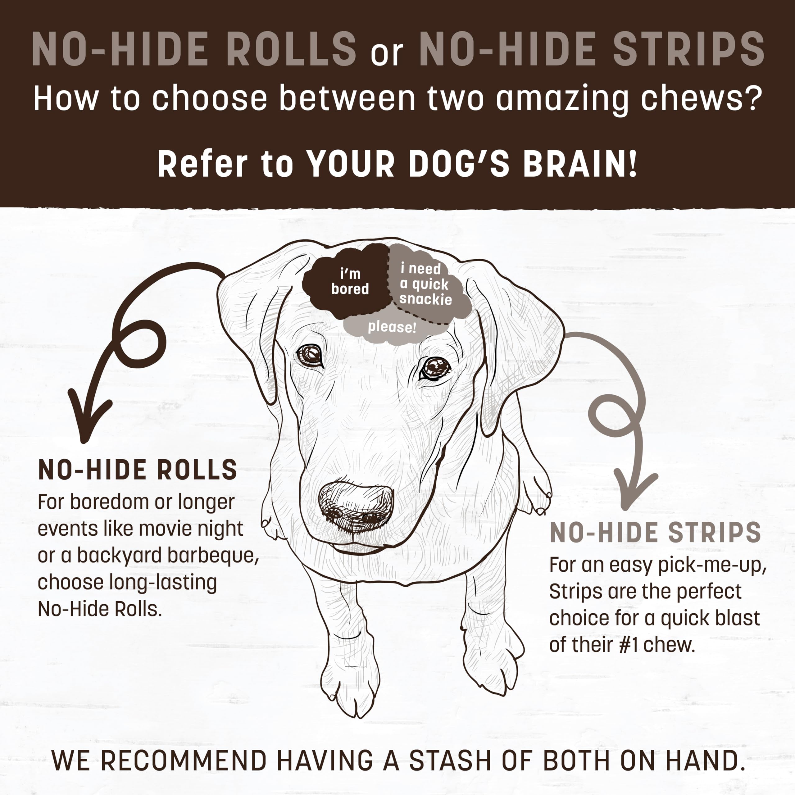 Earth Animal No Hide Salmon Dog Chews, Rawhide Free, Long Lasting, 2 Count (Pack of 3), Ideal for Large Aggressive Chewers