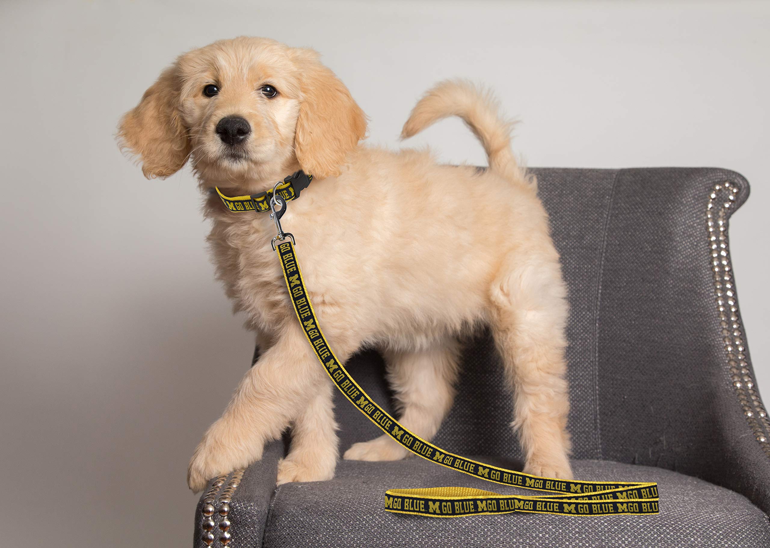Ncaa Pet Leash, Small, Michigan Wolverines, Dog Leash, Shiny & Colorful Leash For Dogs & Cats Licensed By The Ncaa, Old Version