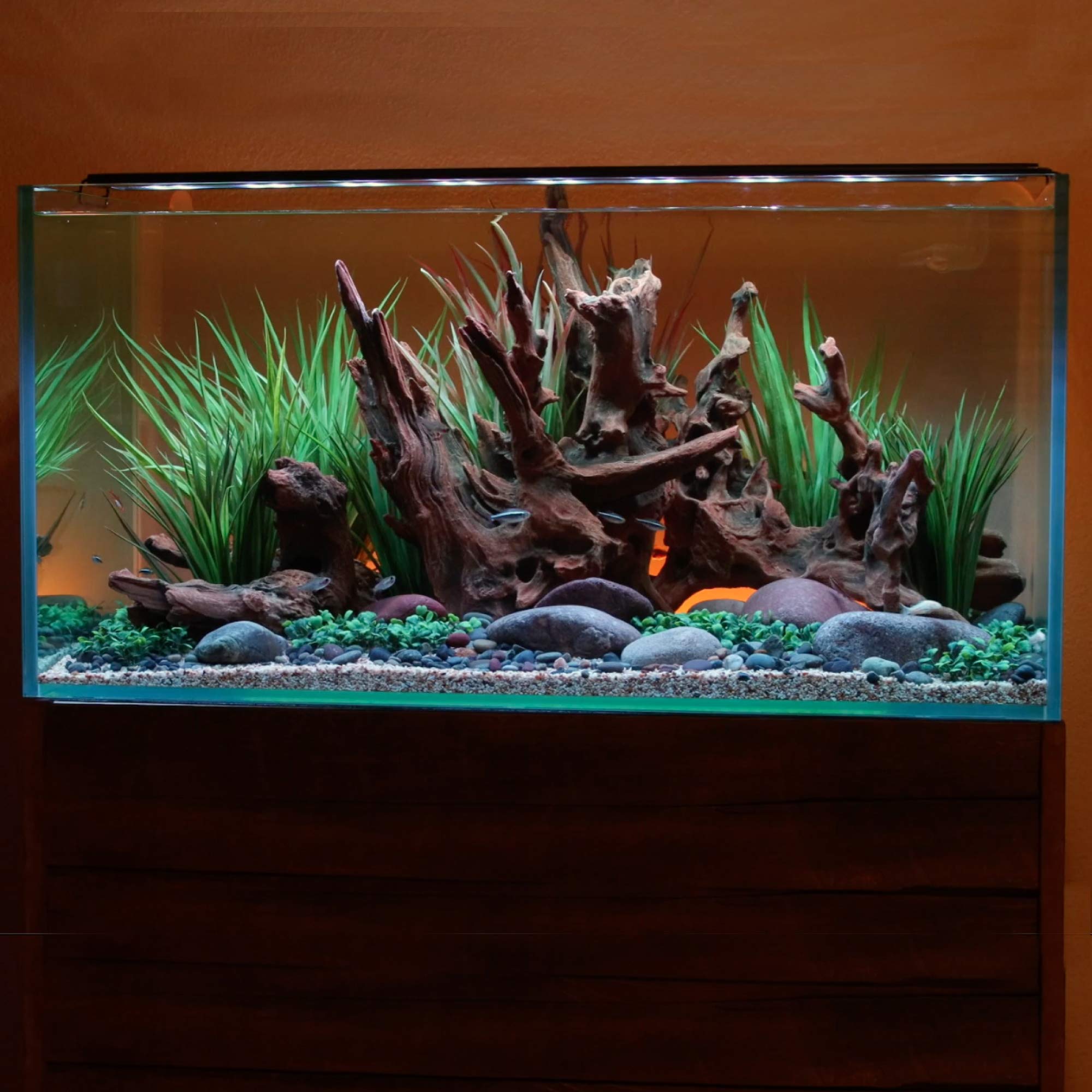 Current USA 36-48'' Inch Satellite Freshwater LED Plus Full Spectrum RGB+W Light for Aquariums | Wireless 24 Hour Remote Control