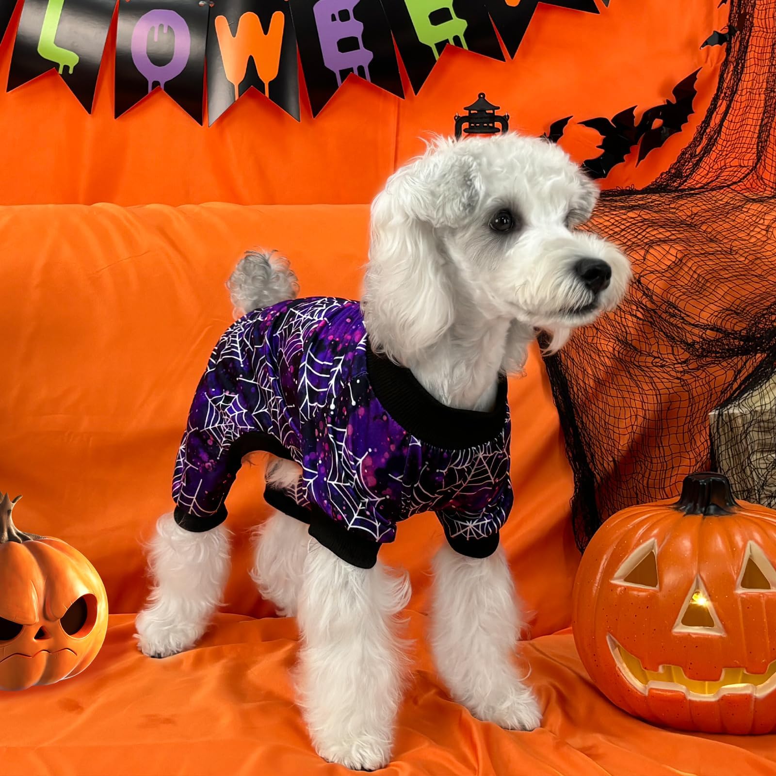Xpudac Halloween Dog Pajamas For Small Medium Dogs Spider Puppy Costume Soft Pet Clothes Outfit Cat Jumpsuits, Large
