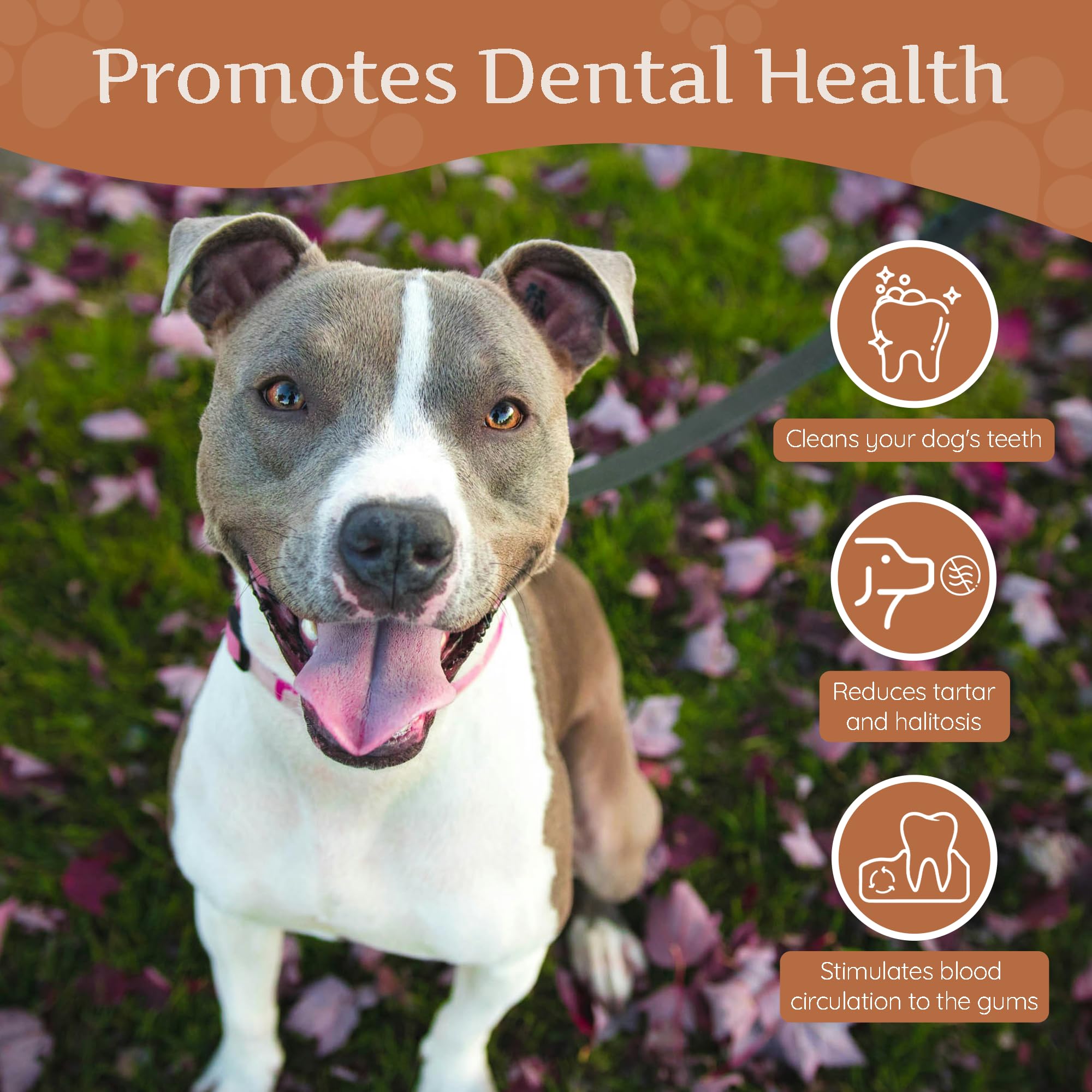 Wildfang Chewing Root Made Of Coffee Wood For Dogs, Chewing Stick Dog Toy Wooden Bone, Chewing Muscle Training, Natural Chewing