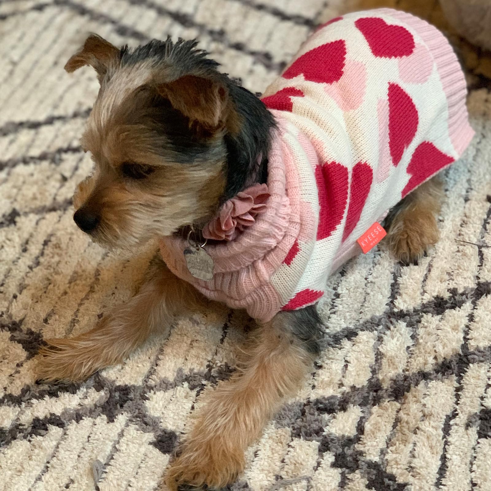 KYEESE Valentine Dog Sweater for Small Dogs, Red Heart Design, Leash Hole, Size S