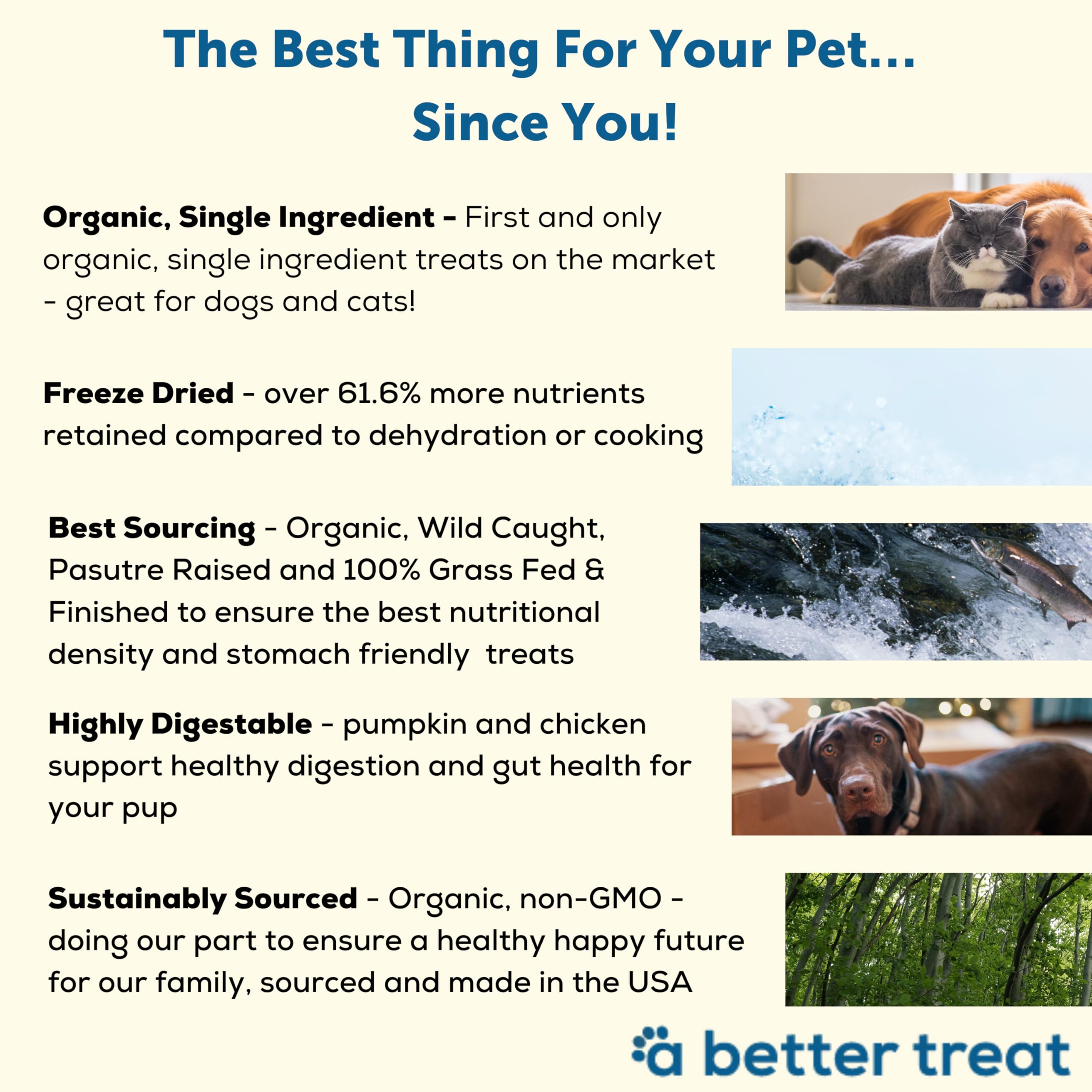 A Better Treat - Freeze Dried Organic Pumpkin, Wild Caught Salmon, Grass Fed Beef, Free-Range Chicken Dog and Cat Treats | Natur