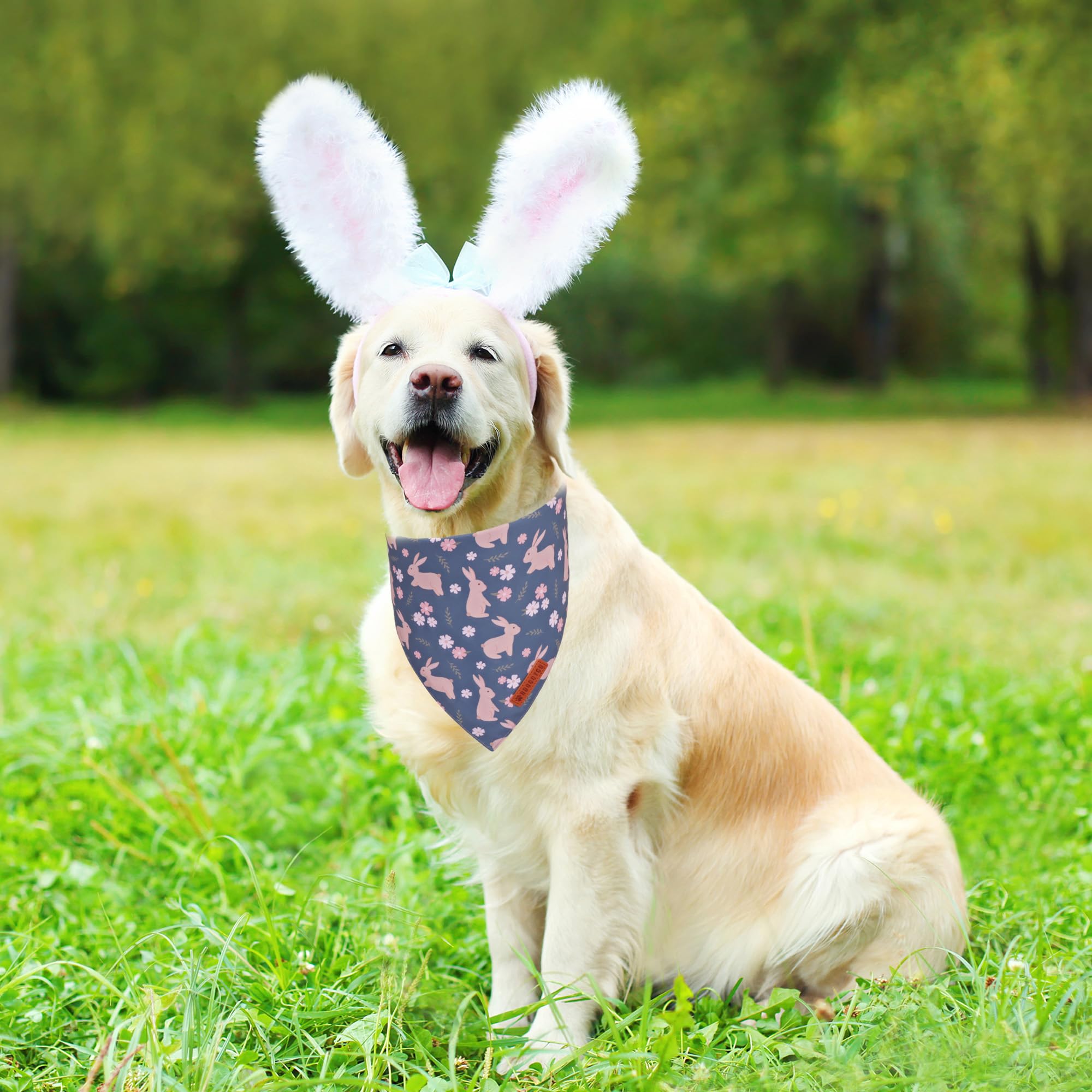 ADOGGYGO Easter Dog Bandanas, Reversible Bunny Floral Pet Scarf, Multi Size Offered, Rabbit Easter Bandana for Large and Extra L