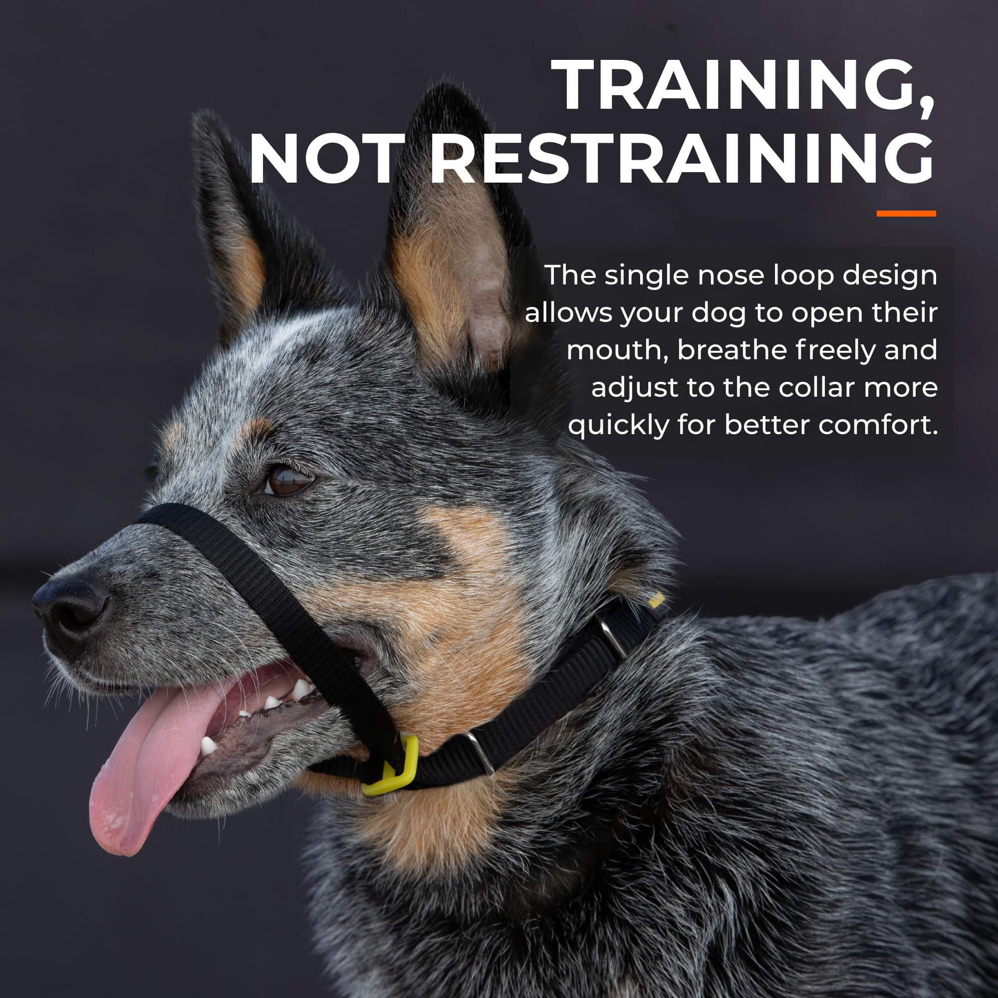 Canny Collar No Pull Dog Training Headcollar - Black Size 4, Nylon, Model 02-1005, Safe and Comfortable for Easy Walks