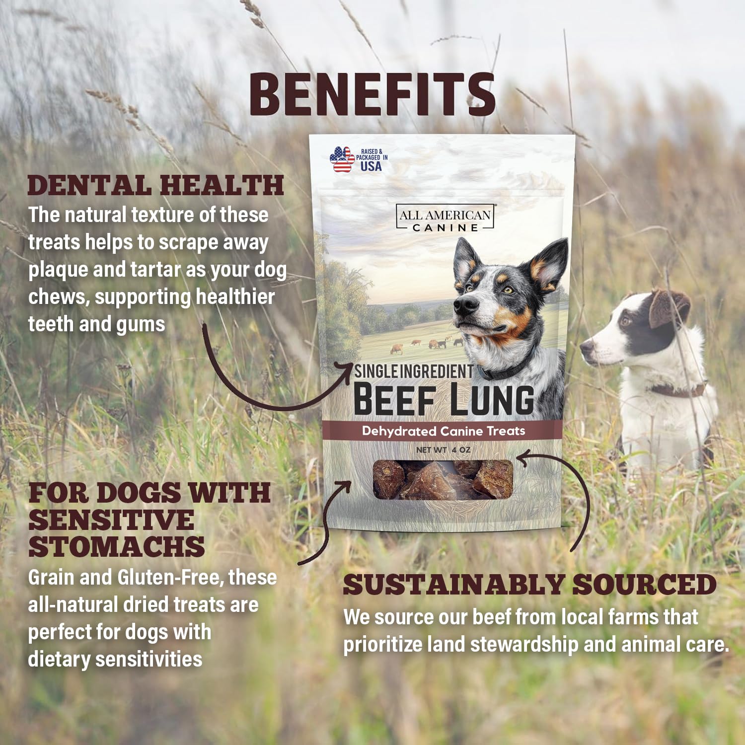 All American Canine Beef Lung Dog Treats 4oz - Single Ingredient, Dehydrated High Protein Low FatTraining Snacks - All Natural a