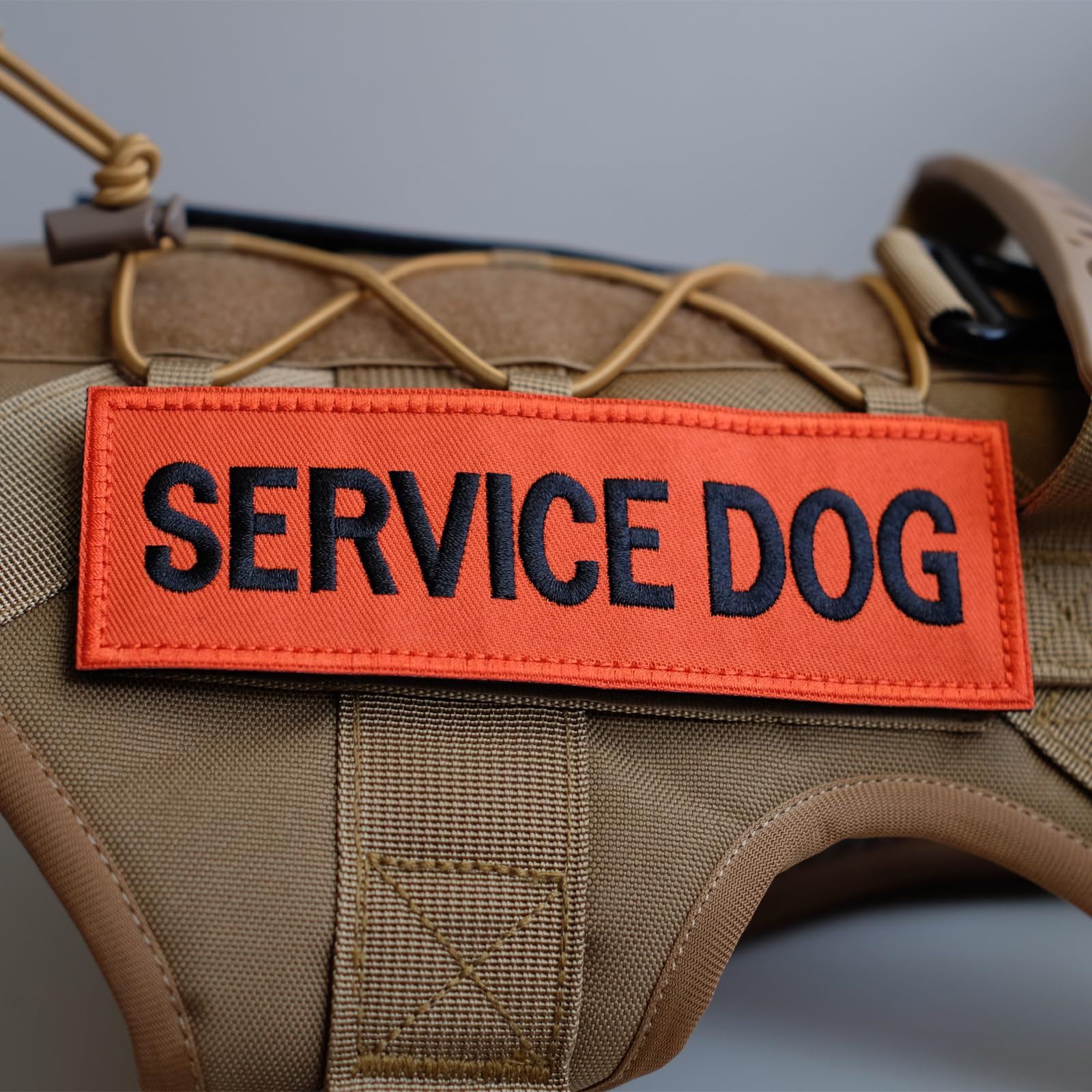Fitznora Embroidered Service Dog Patches, 2 Pack Clear Sign With Hook And Loop Pieces, Easy To Read Tabs For Dog Vest Harness Co