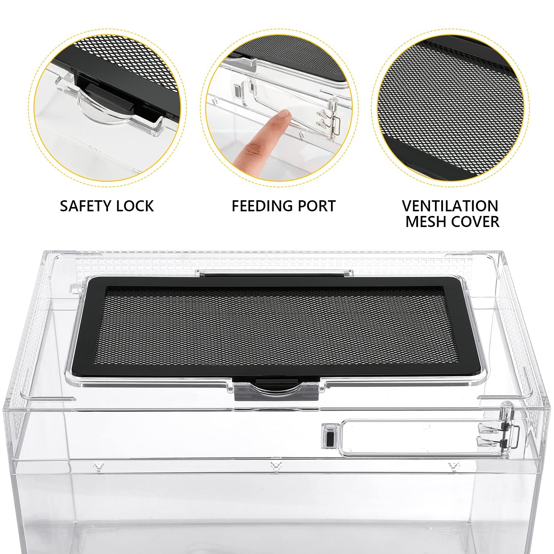 Reptile Terrarium Amphibian Tank Spider Cages Snake Cage 7X11.8X5.9Inch Suitable For Breeding Lizards,Turtles,Chameleons,Jumping