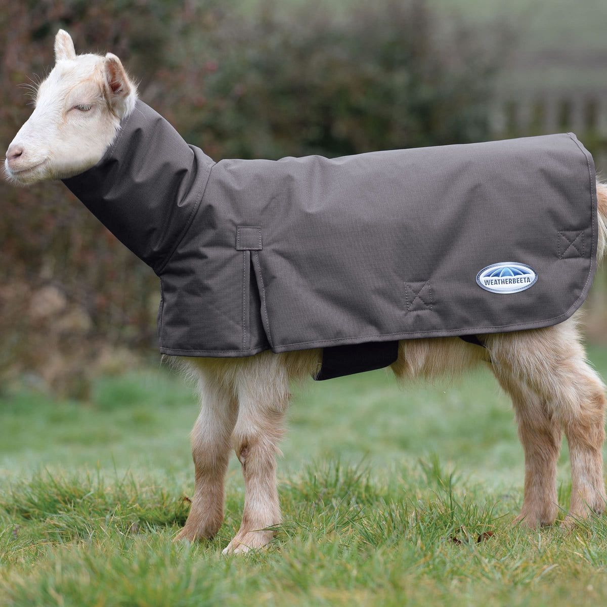 Weatherbeeta Goat Coat With Neck, Grey, Medium