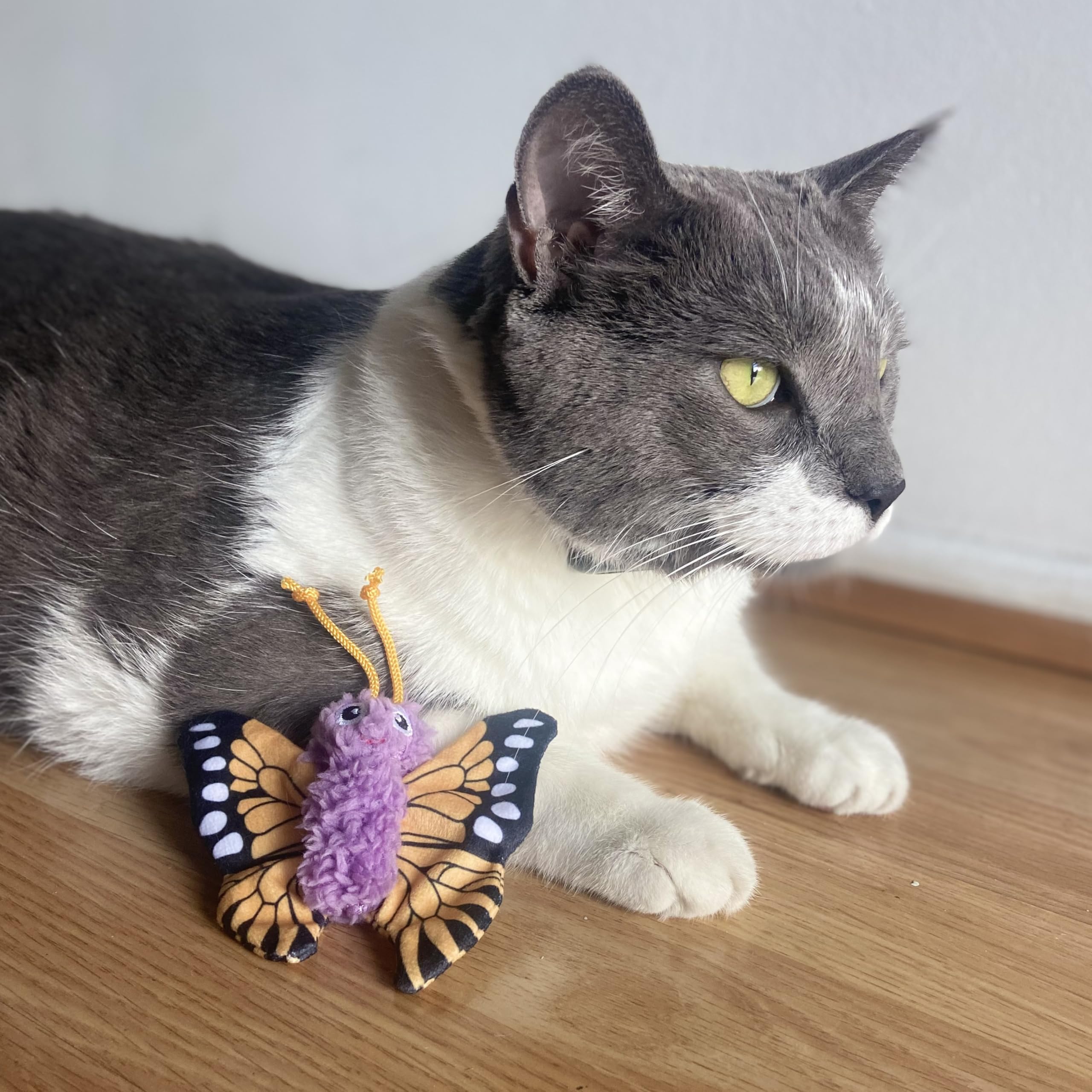 Spot Love The Earth Butterfly Cat Toy - Eco Friendly Catnip Toy Made With Recycled Plastic Bottles, Soft, Plush, Bright Colored