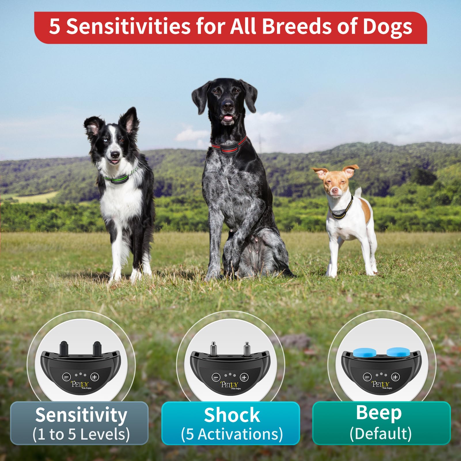 Petjoy Dog Bark Collar, Bark Collar For Small Dogs 5-15 Lbs, Bark Collar 3 Pack With 5 Adjustable Levels Of Sensitivity, Barking