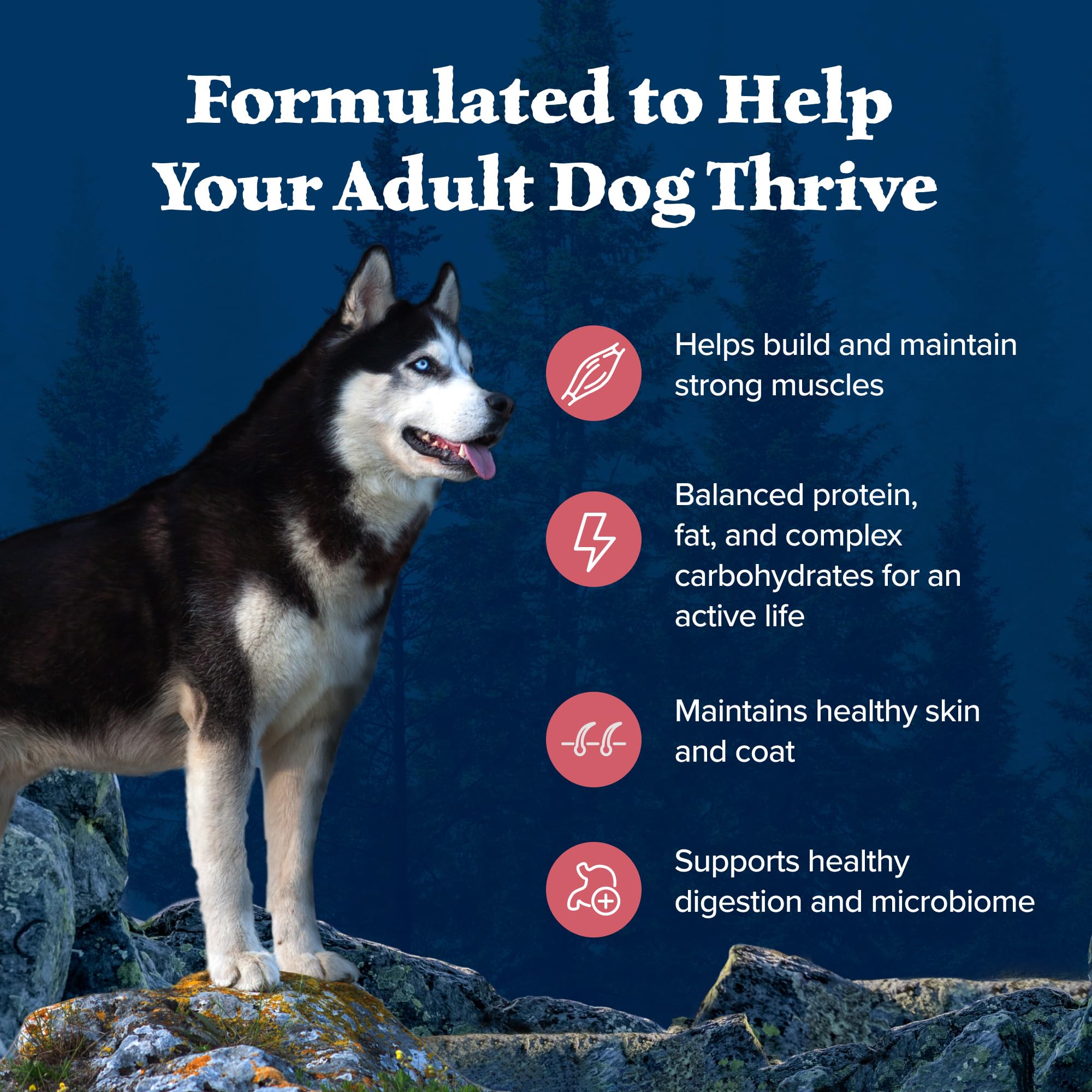 Blue Buffalo Wilderness Adult High-Protein Dry Dog Food with Real Salmon, Grain-Free, Made in the USA with Natural Ingredients,