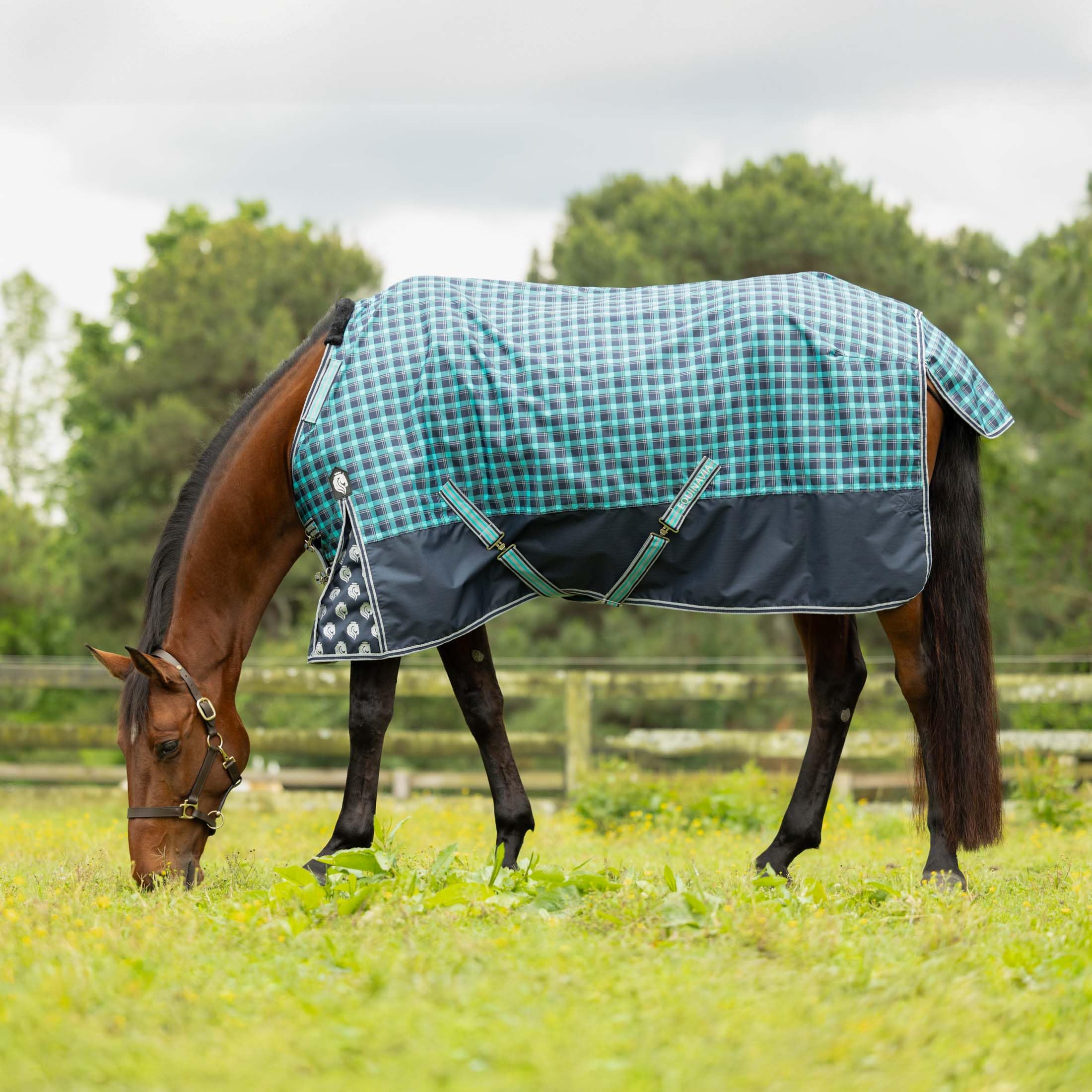 Equinavia Norse Lightweight 100G Fill Horse Rain Blanket | Waterproof Turnout Sheet - Black - 66 In - Navy/Turquoise - 84 In