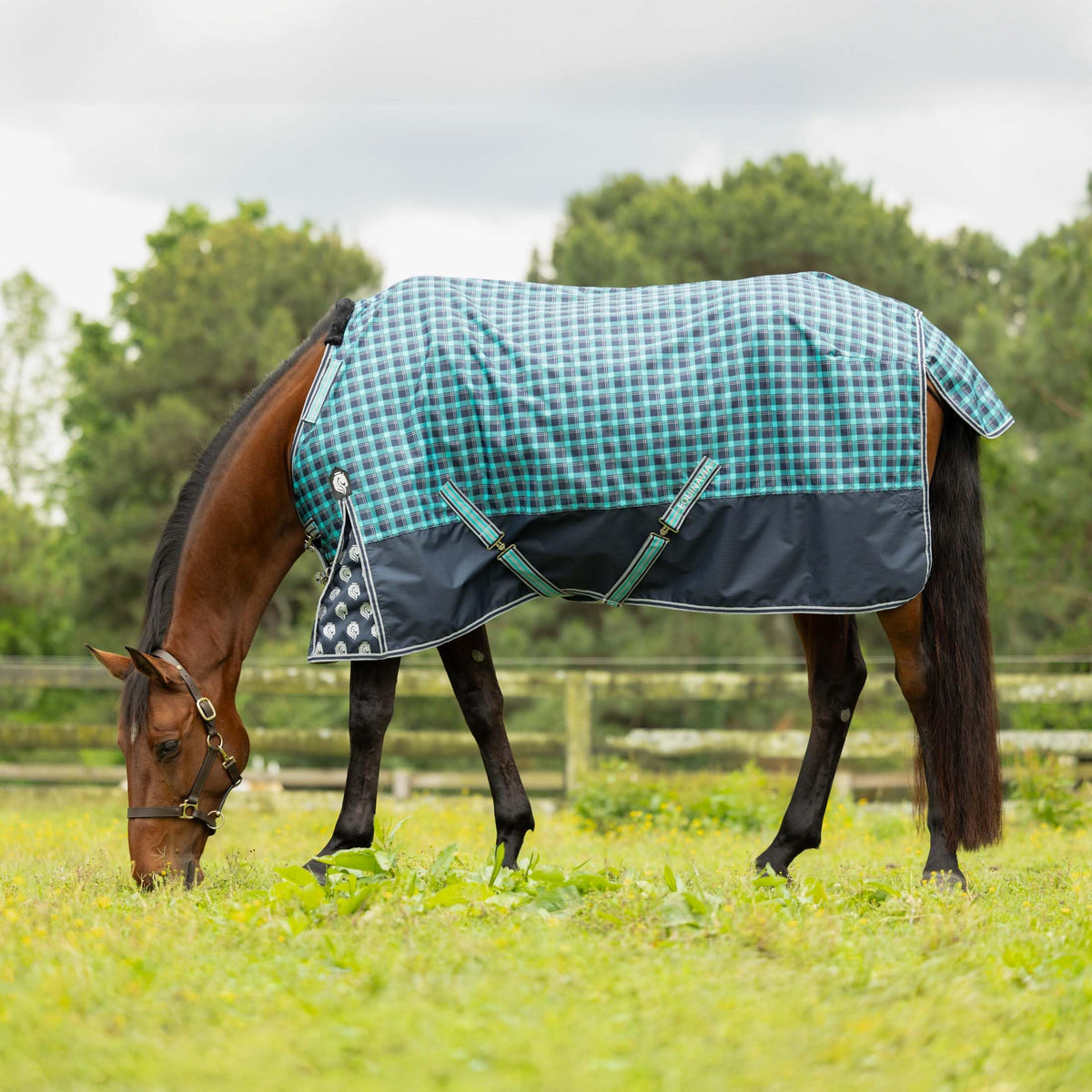 Equinavia Norse No Fill Horse Rain Blanket (0G) | Waterproof Lightweight Turnout Sheet - Black - 66 In - Navy/Turquoise - 81 In