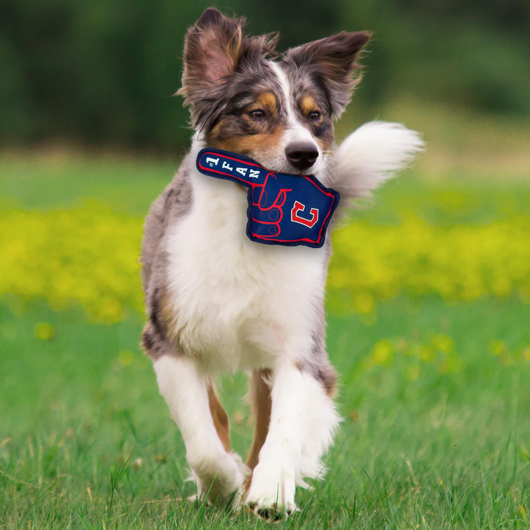 Pets First Mlb Cleveland Guardians #1 Fan Toy. Best Sports Dog Toy With Double Stitched Trim And Tough Nylon Material Filled Wit