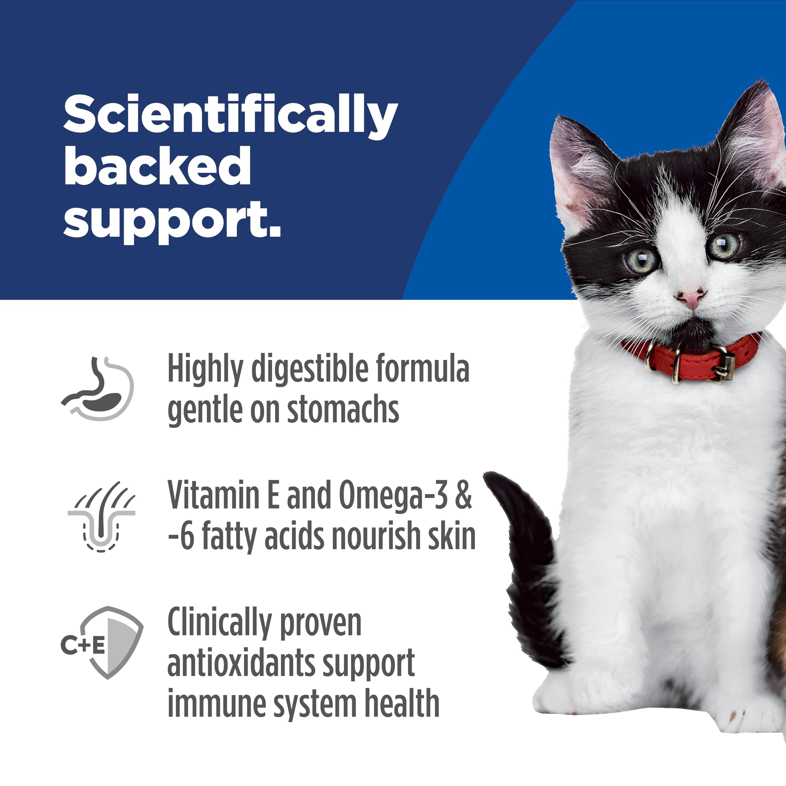 Hills Science Diet Sensitive Stomach & Skin, Kitten, Stomach & Skin Sensitivity Support, Dry Cat Food, Salmon & Brown Rice, 3.5