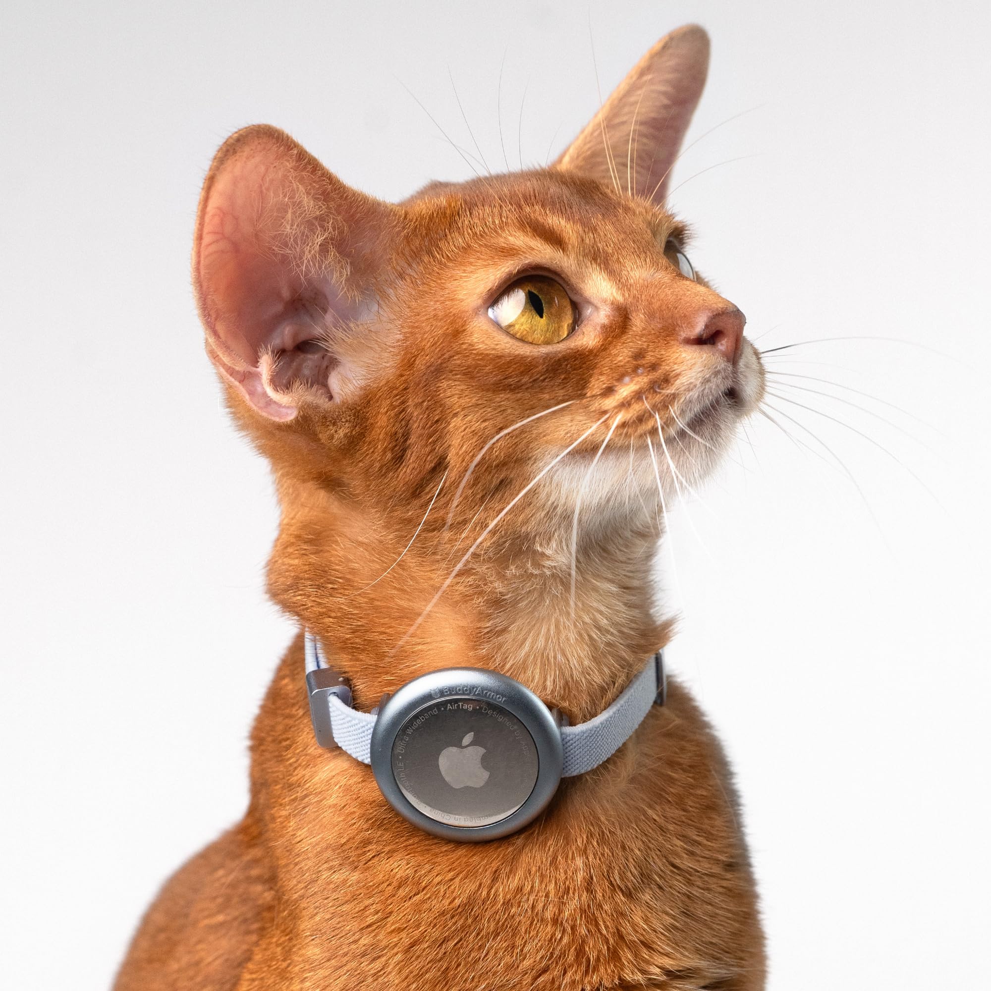 Buddyarmor Pet Holder For Airtag Collar - Secure Fit For Apple Airtag Case For Cat Dog Collars, No Dangling, Lightweight Anodize