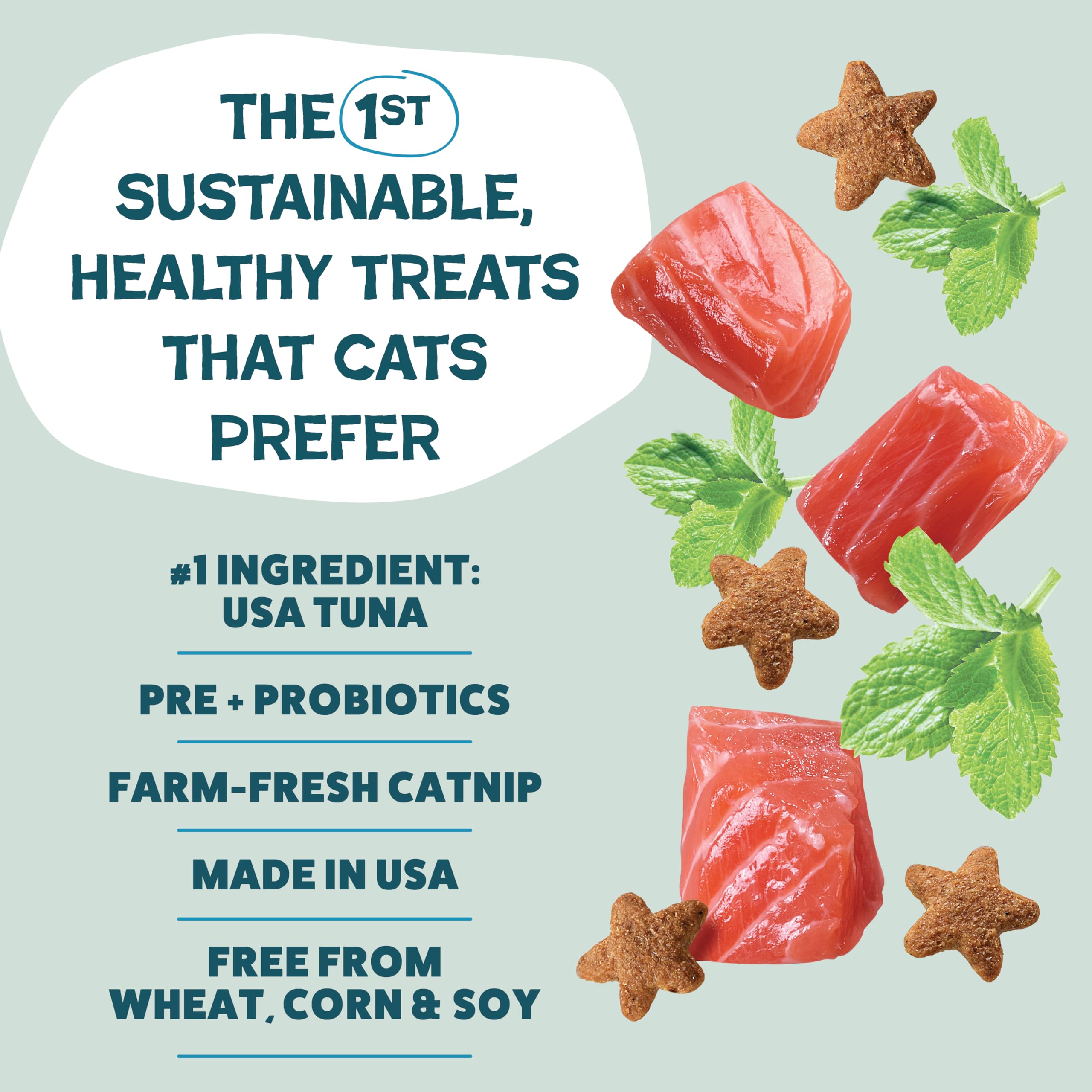 Shameless Pets Crunchy Cat Treats - Catnip Treats for Cats with Digestive Support, Kitten Treats with Real Ingredients, Natural