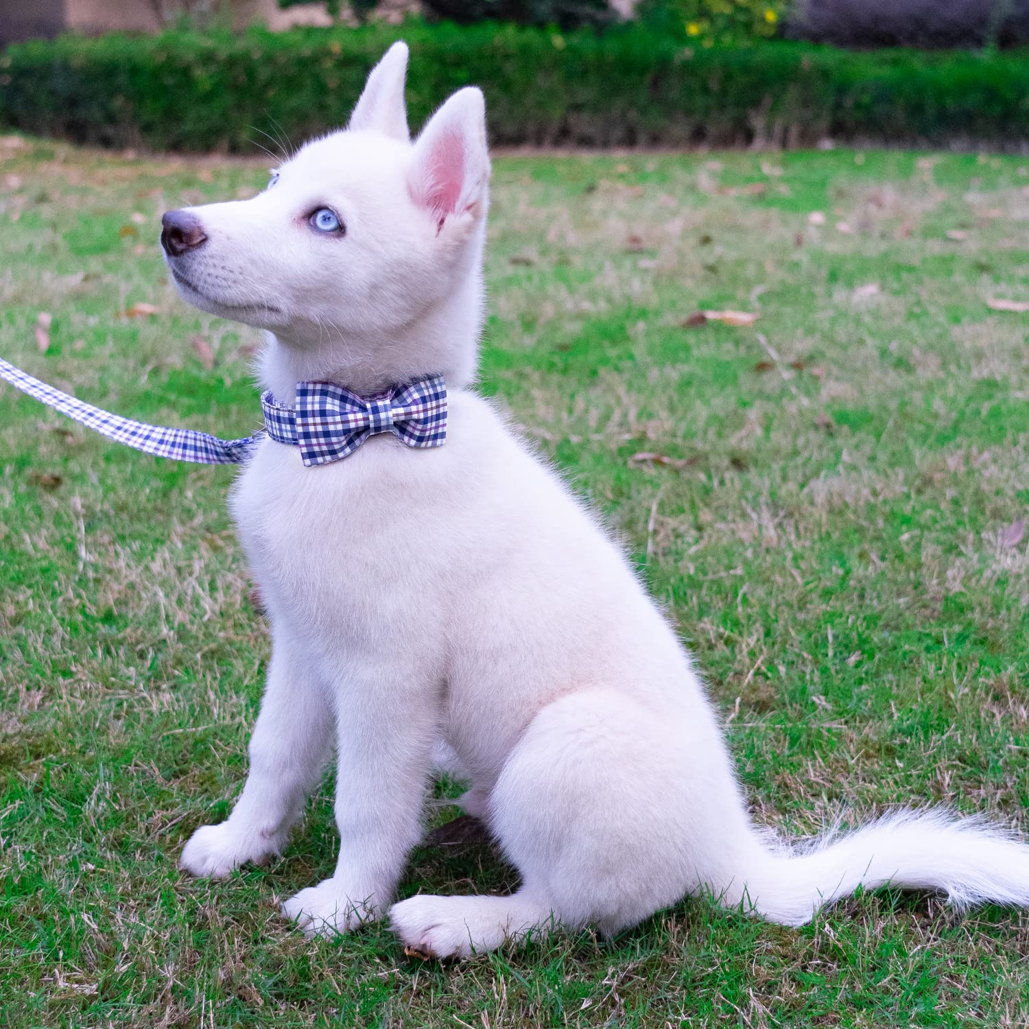 Tunkoo Dog Leash Plaid With Soft Comfy Cotton Handle
