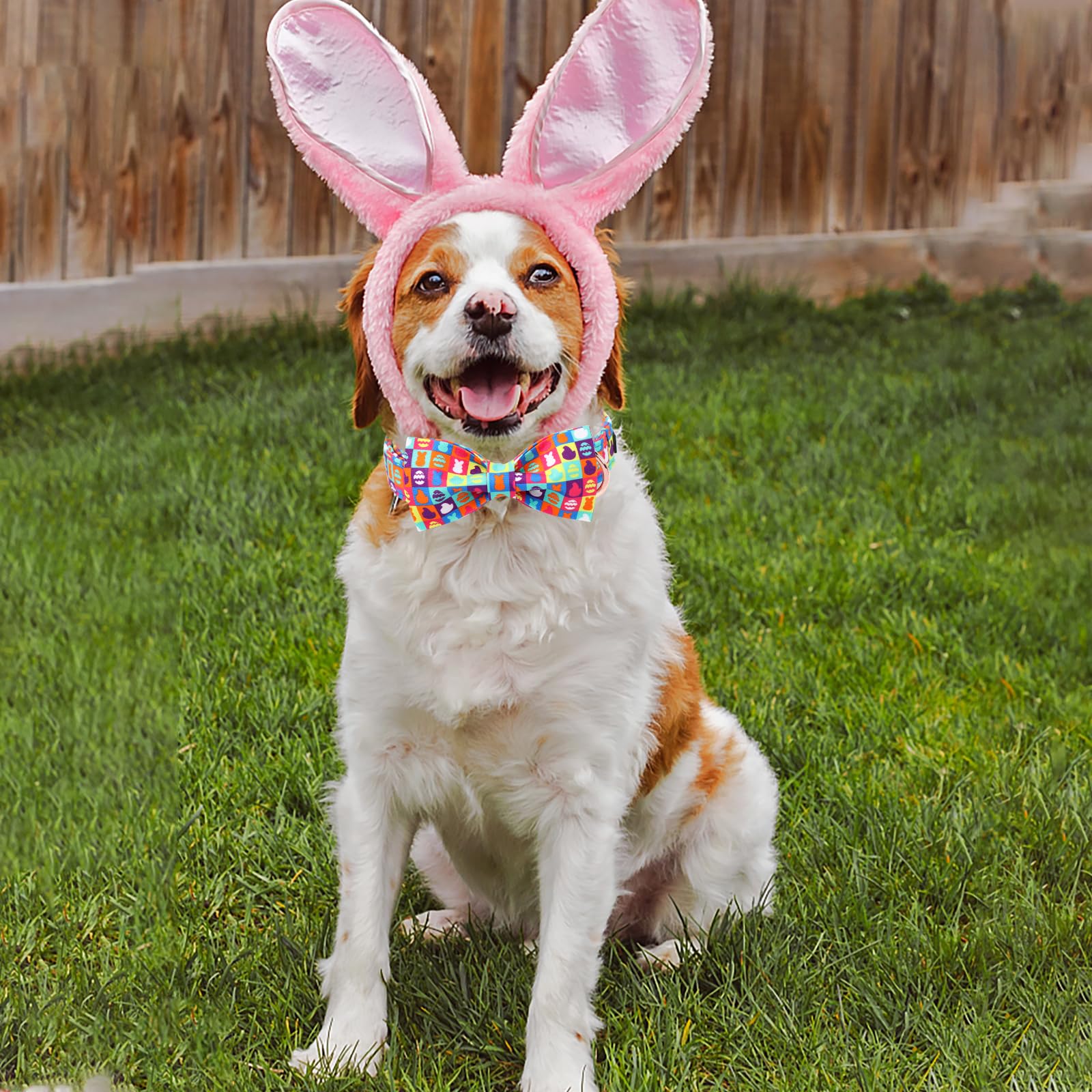 Unique Style Paws Easter Dog Collar With Bow Colorful Egg Dog Collar Bowtie Collar For Large Medium Small Dogs