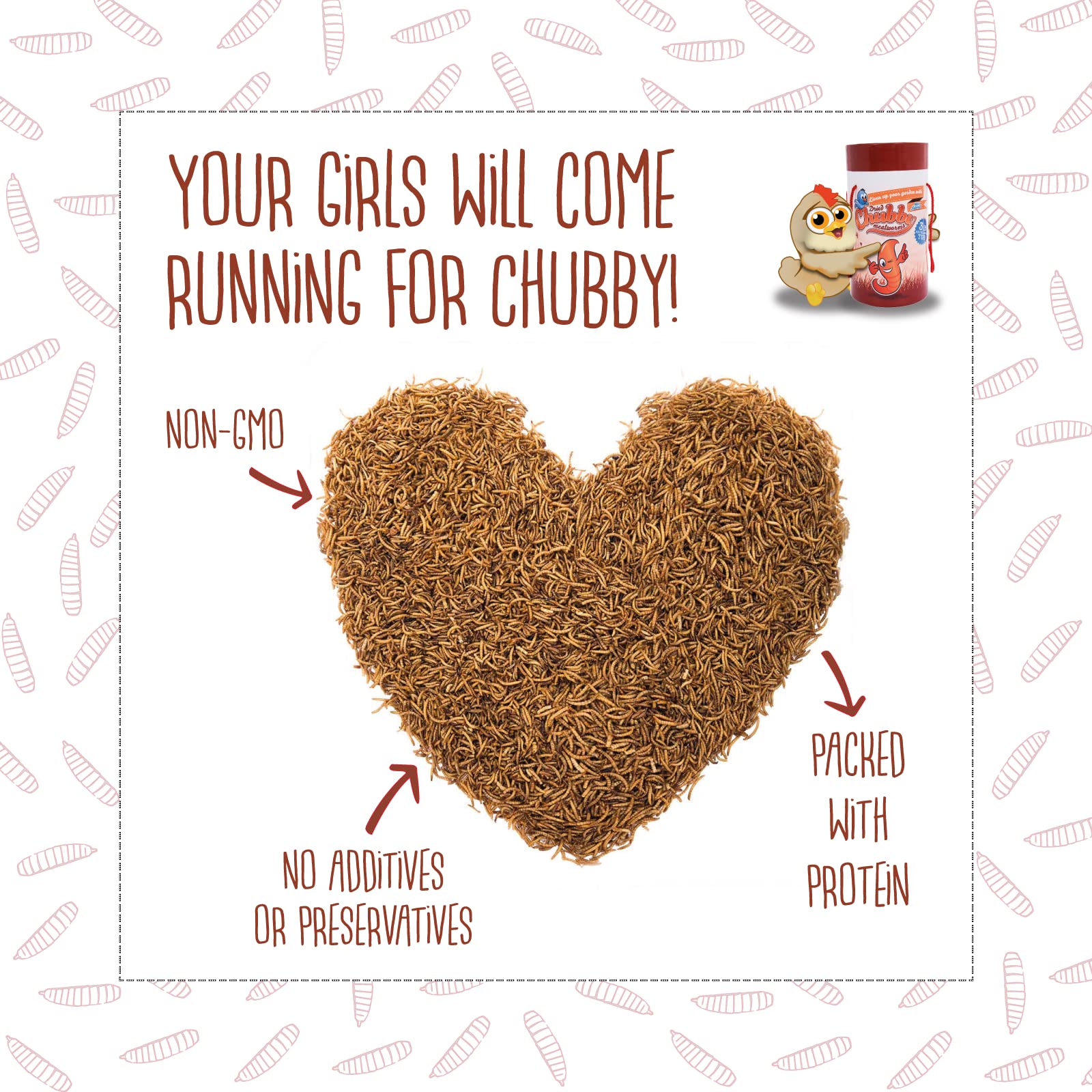 Chubby Dried Mealworms | 2  lbs | High-Protein Non-GMO Treats for Chickens, Ducks, Wild Birds & Backyard Pets