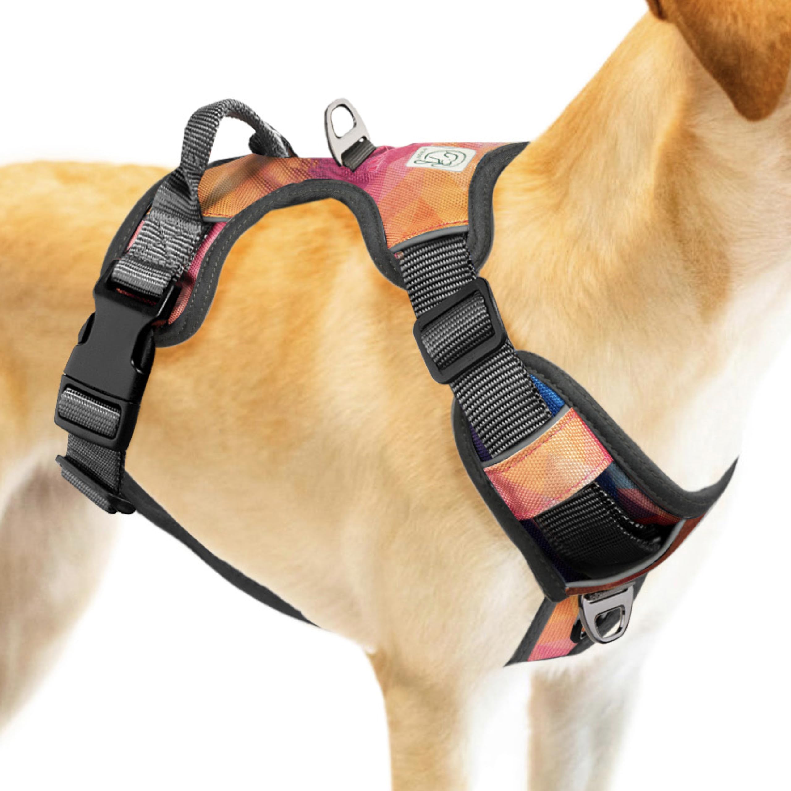 Embark Urban Dog Harness No-Pull Dog Harness For Small Dogs, Medium & Large. 2 Leash Clips, Front & Back With Control Handle, Adjustable Black Dog Vest For Any Breed, Soft & Padded For Comfort