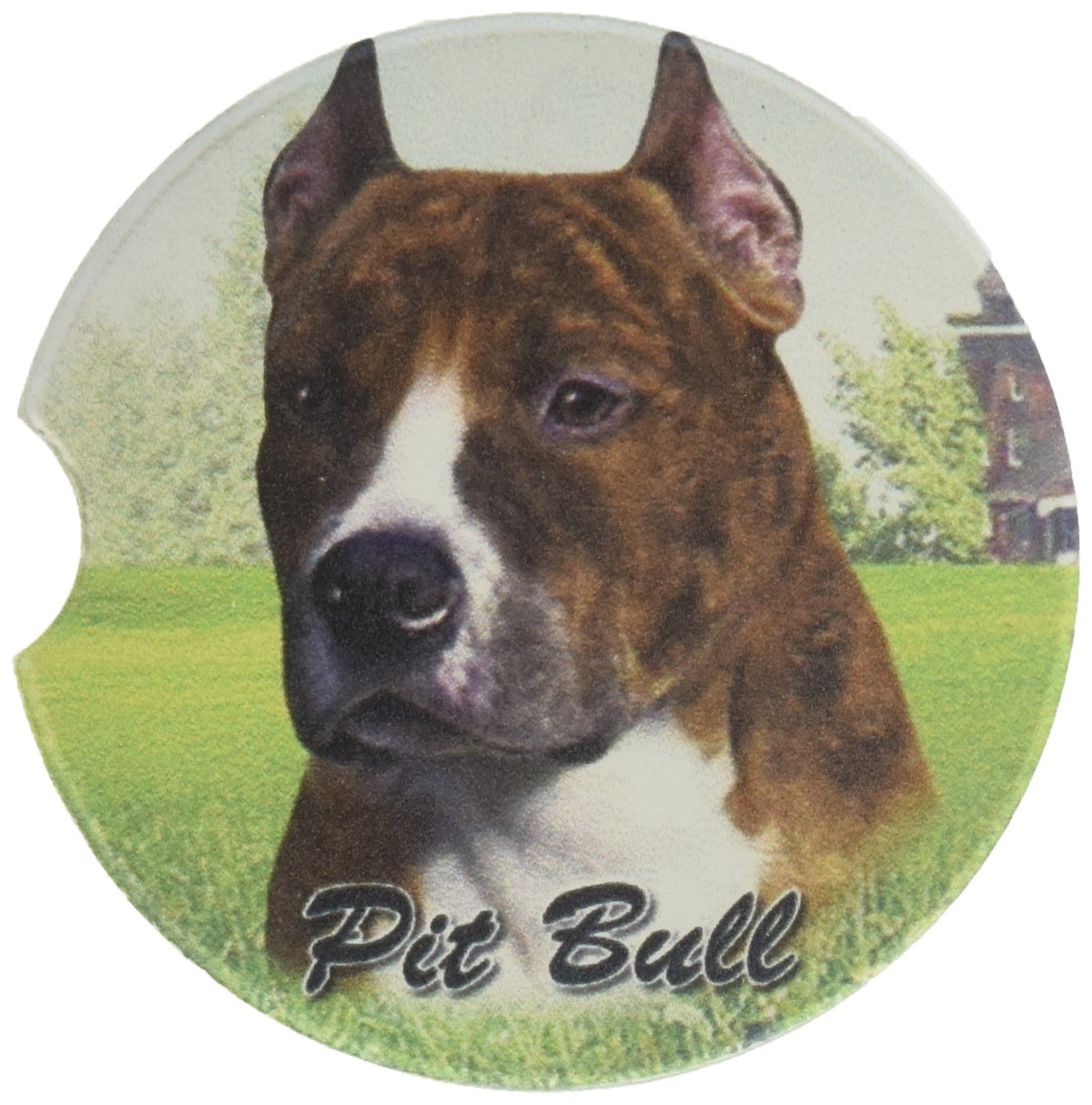 E&S Pets Pit Bull Brindle Coaster, 3' X 3'