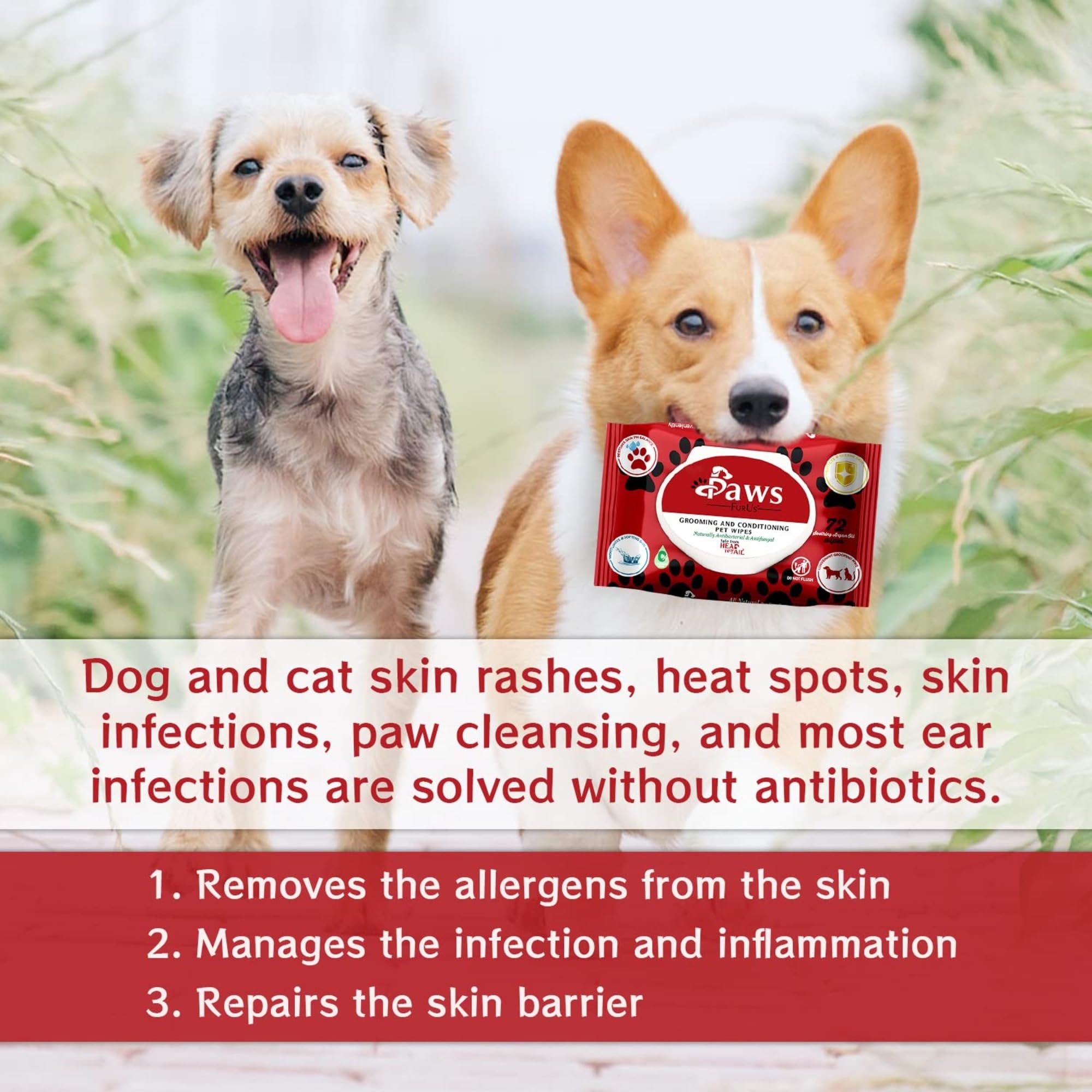 PawsFurUs Pet Wipes All-Natural Antibacterial & Antifungal Pet Wipes
