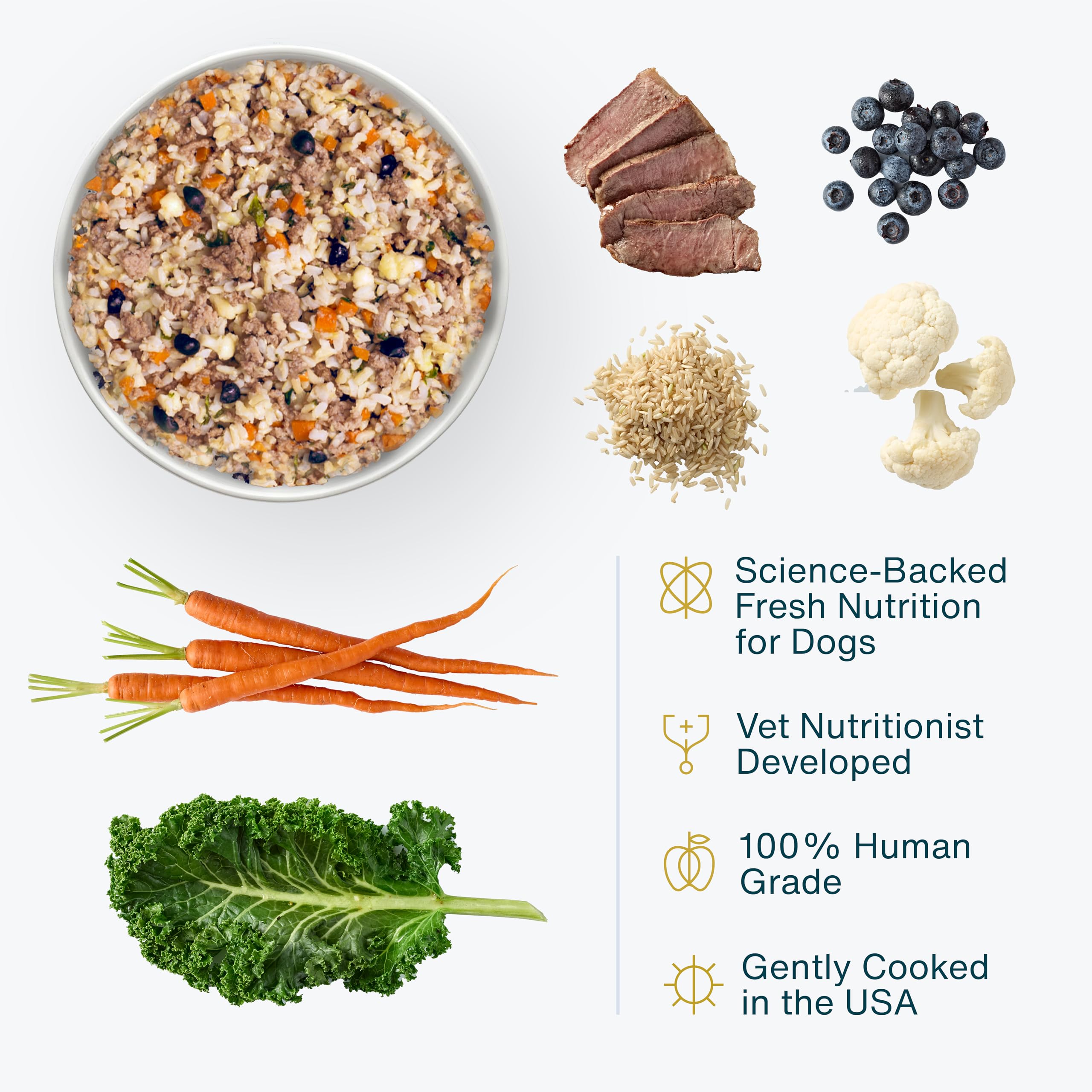 JustFoodForDogs Frozen Fresh Dog Food, Complete Meal or Topper, Lamb & Brown Rice Human Grade Dog Food Recipe, 72 oz (Pack of 7)