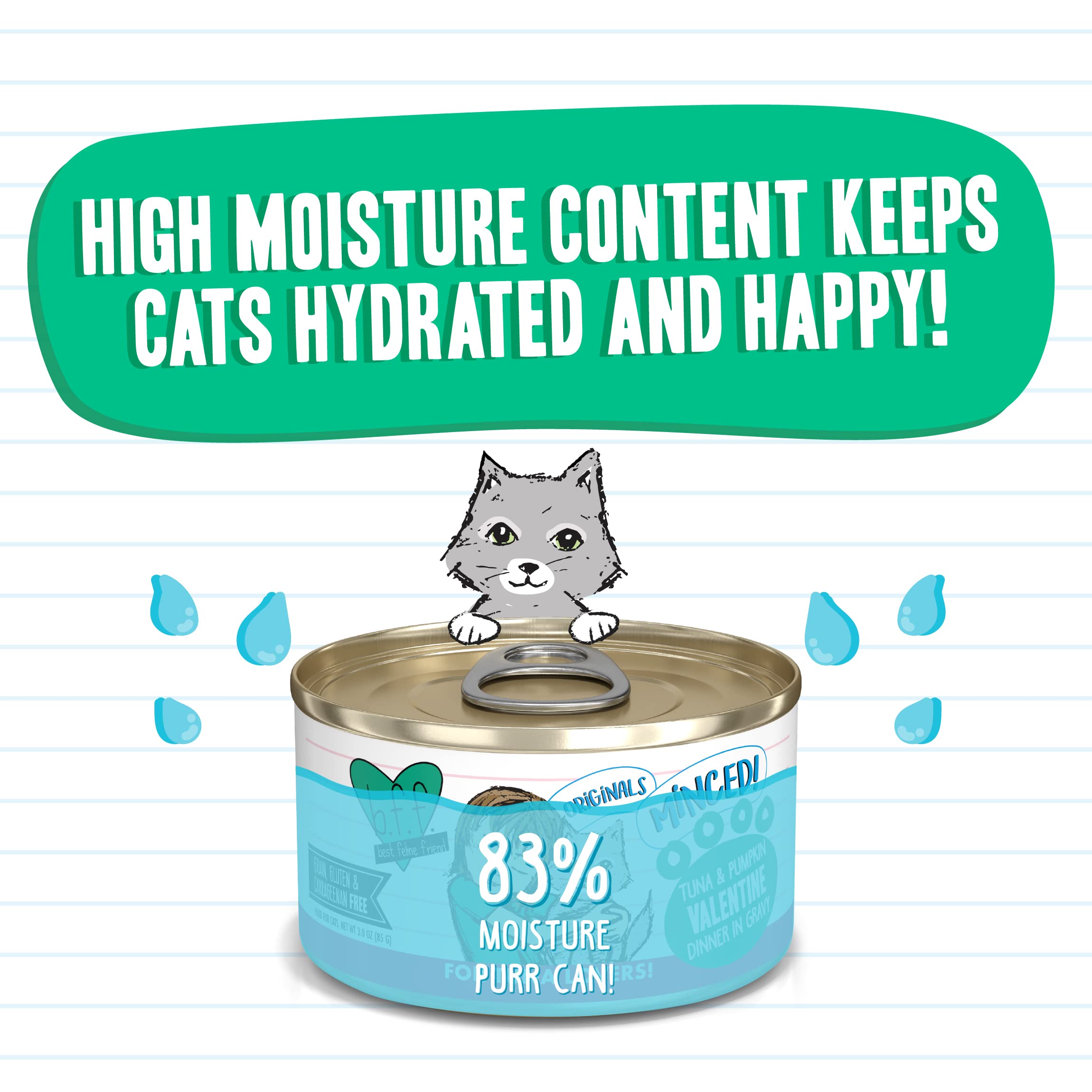 Weruva Best Feline Friend (B.F.F.) Tuna & Pumpkin Valentine with Tuna & Pumpkin in Gravy Cat Food, 3oz Can (Pack of 24)