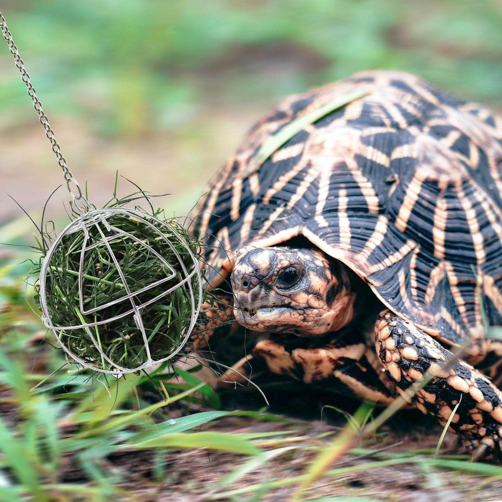 4.7 Inch Tortoise Treat Ball Toy, Hanging Turtle Stainless Steel Hay Feeder Ball, Small Animal Grass Fruit Vegetable Feeder Hold