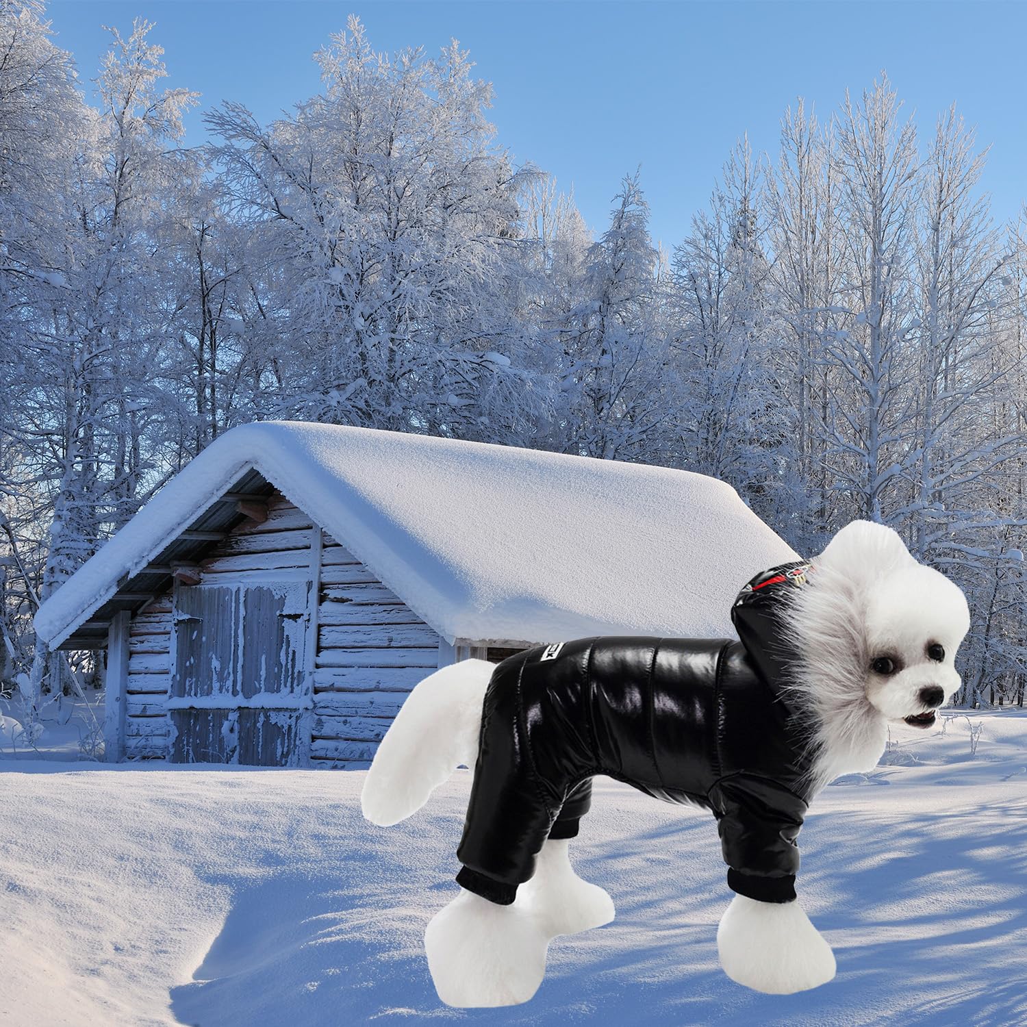 Waterproof Pet Clothes For Dog Winter Warm Dog Jacket Coat Dog Hooded Jumpsuit Snowsuit (Xl, Black)