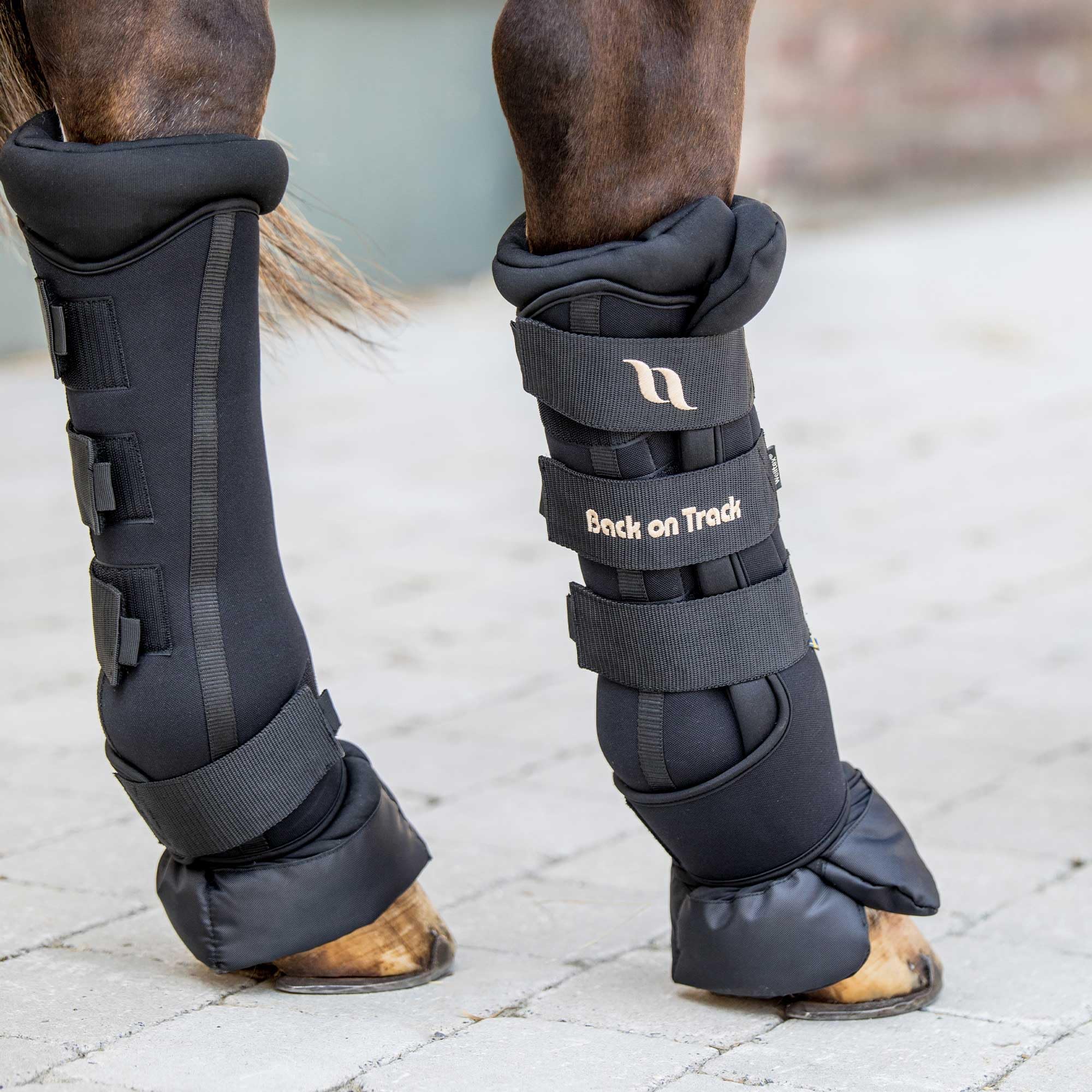 Back On Track Royal Quick Wraps Deluxe - Equestrian Sport Flexible Supportive Protective Horse Leg Wraps With Hook & Loop Closure, Pair, Black - 14' - M