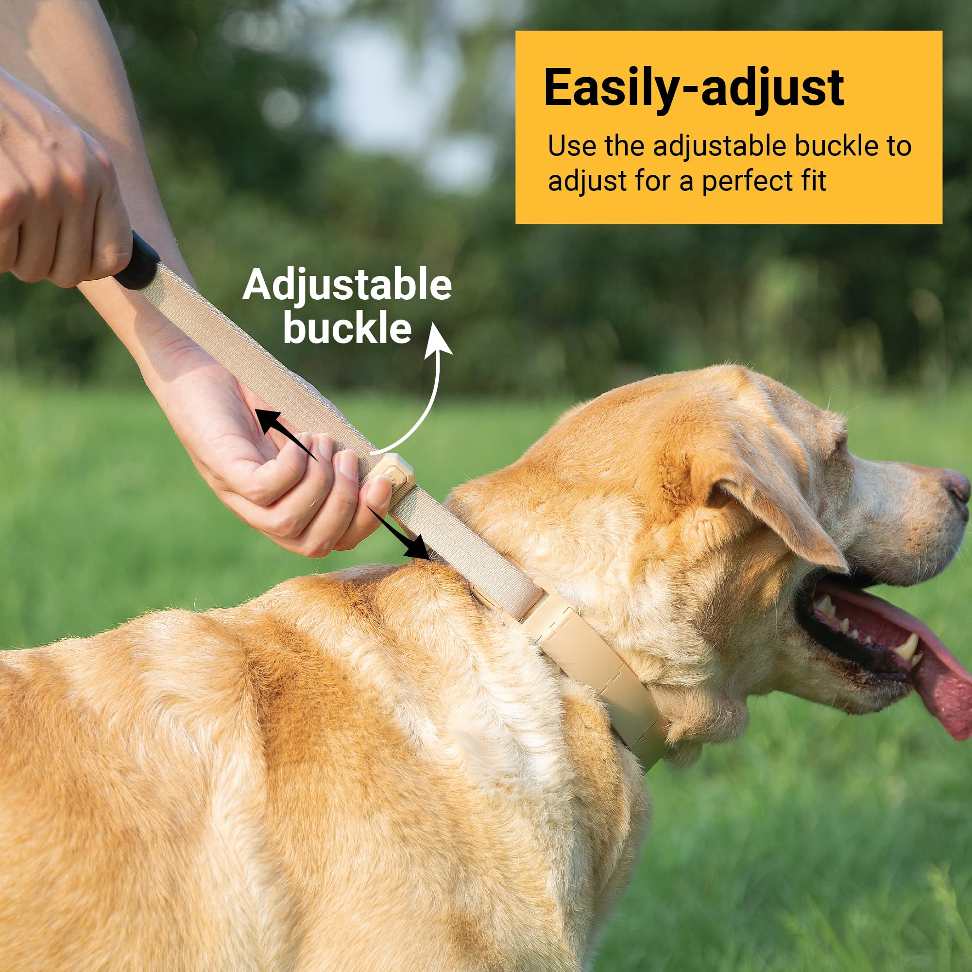 Svd.Pet Dog Prong Collar For No-Pull Training, Quick-Release Buckle Adjustable Pinch Collar For Small Dogs (Tan, Small Size, Sui