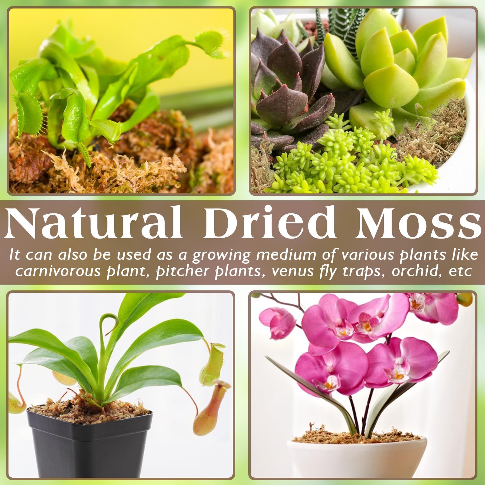 ZeeDix 12OZ Premium Sphagnum Moss for Reptiles, 20QT Dried Moss for Terrarium Long Fibered Leopard Gecko Moss Natural Sphagnum P