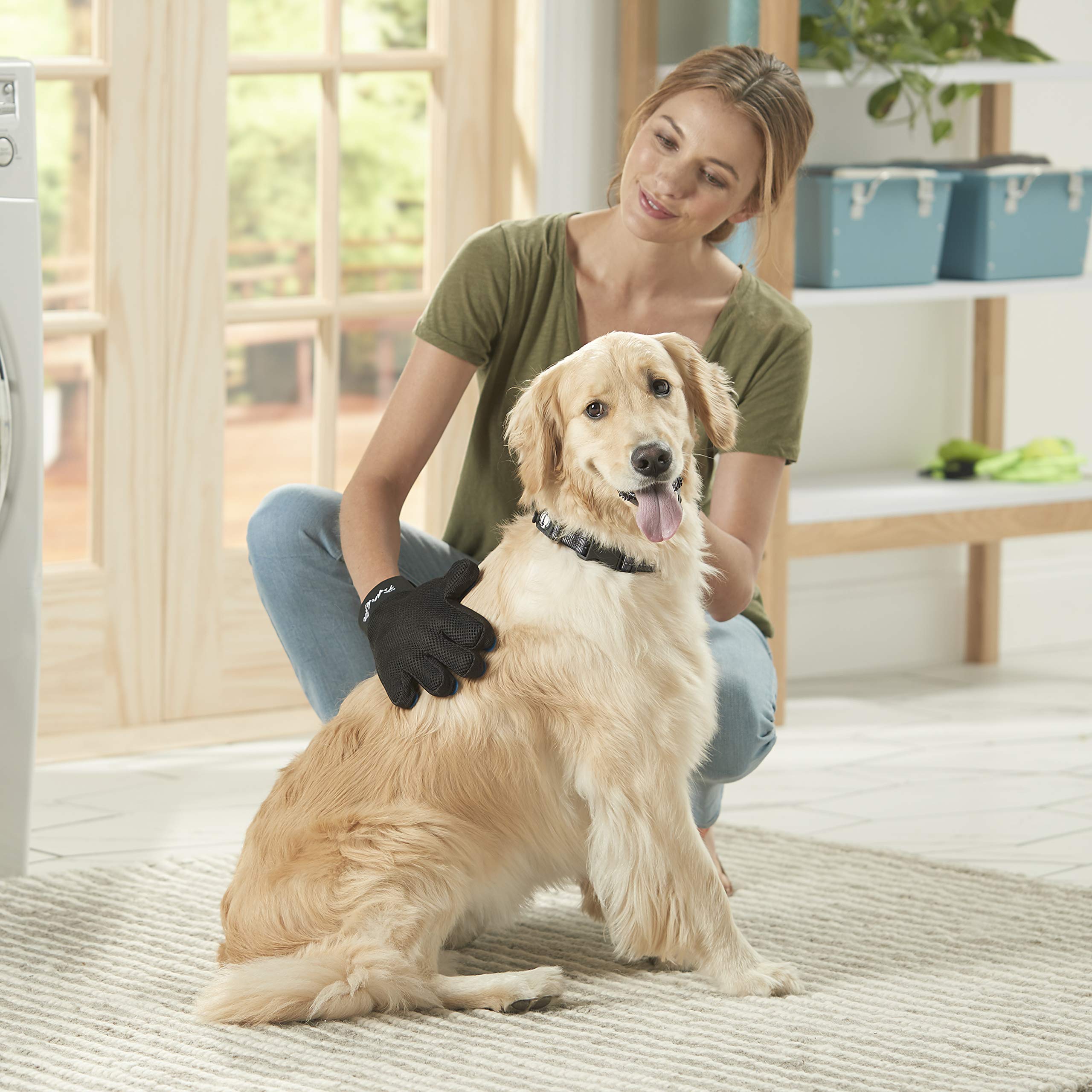 Franklin Sports Pet Supply Shed-Master – Pet Grooming Gloves Gentle De-Shedding – Hair Remover – Dogs & Cats – Long & Short Hair – Furniture Pet Hair Remover Multi