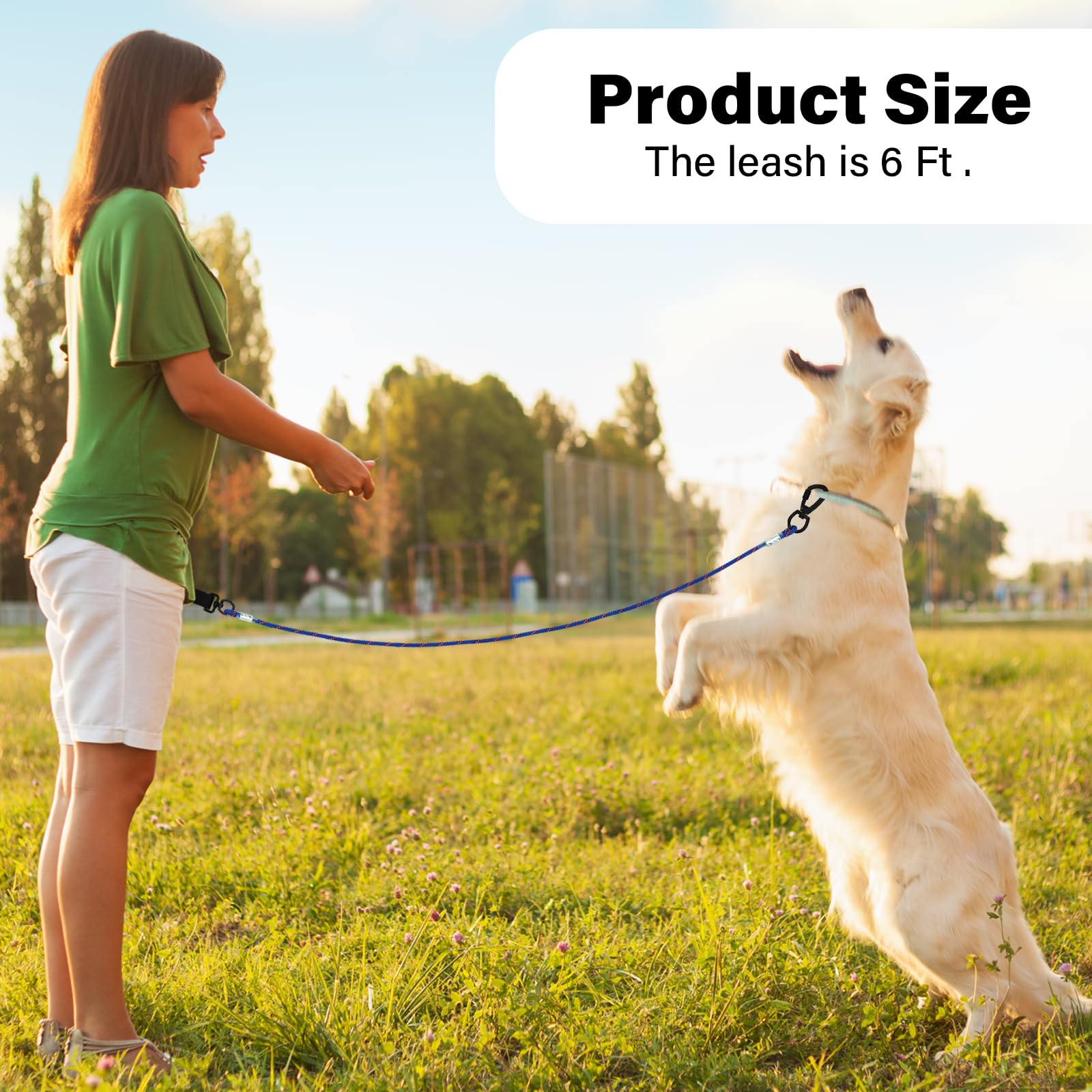 Zhoma 4/5/6 Ft Chew Proof Dog Leashes With Comfortable Handle, Steel Cable Lead For Control Large Or Medium Dogs Walk And Train,