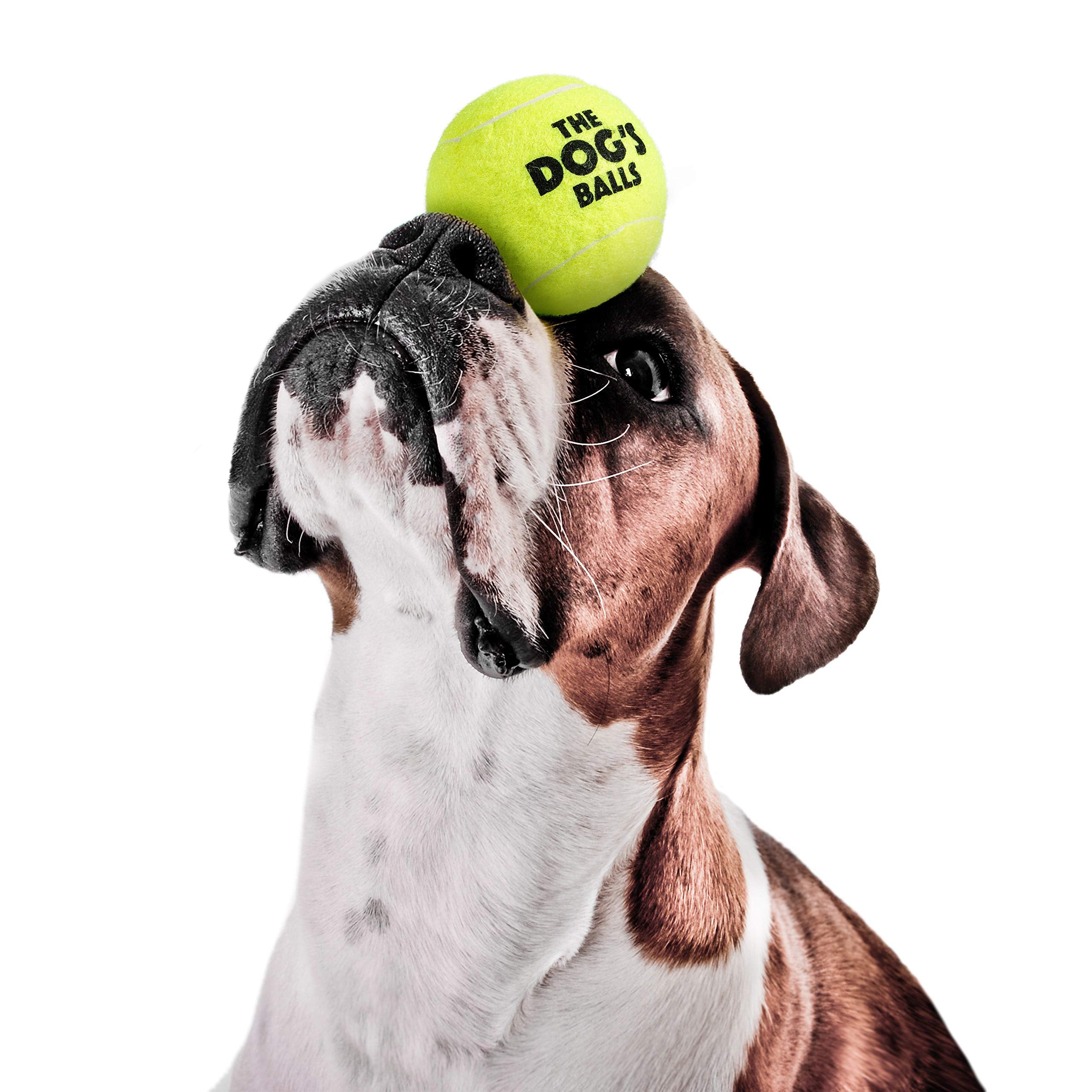 The Dog'S Balls, Dog Tennis Balls, 12-Pack Yellow, 2.5 Inches Diameter Dog Toy, Strong Dog & Puppy Ball For Training, Play, Exercise & Fetch