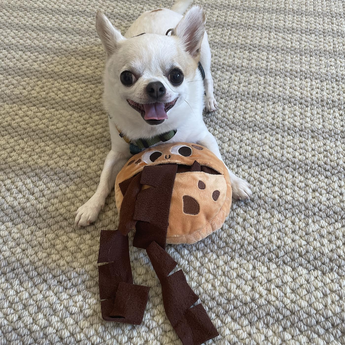 CHEWFFON Dog Toys, Puppy Birthday Toy, Dog Puzzle Toys, Interactive Dogs Toys, Puppy Plush Chew, Dogs Treat Dispensing Toys, Pet