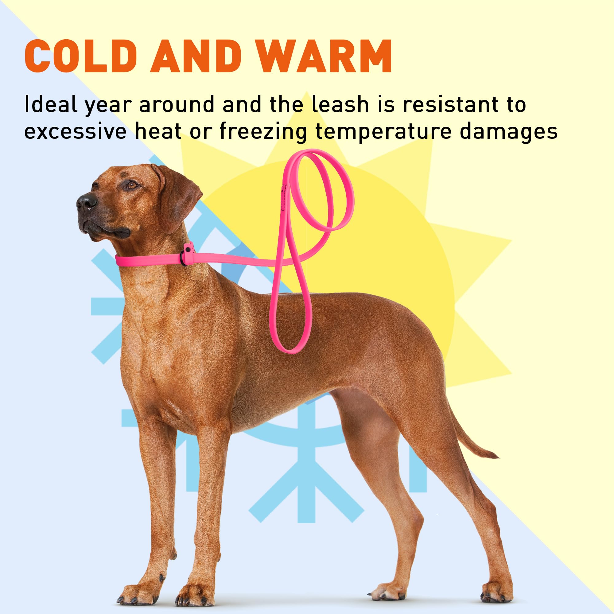 Dogline Biothane Slip Dog Leash - For Small, Medium And Large Dogs - Odor Free Slip Lead, Heavy Duty And Durable Material Kennel Lead - Passionfruit Pink - 5Ft L X 3/8In W
