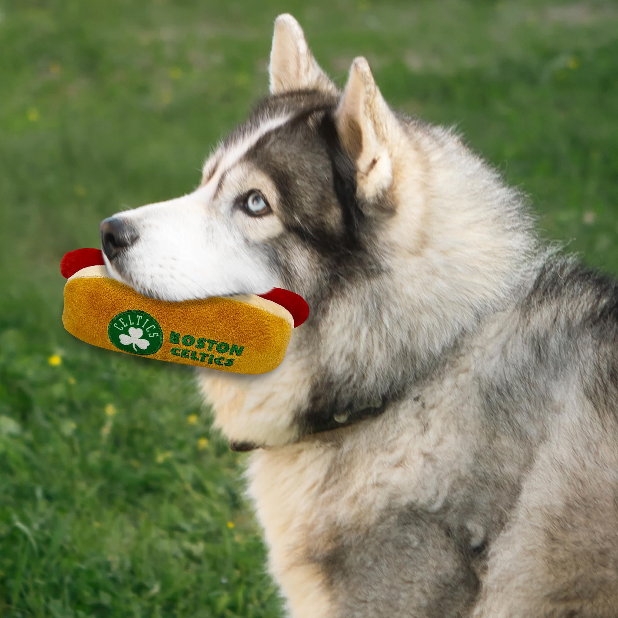 Pets First Nba Boston Celtics Hot Dog Plush Dog & Cat Squeak Toy - Cutest Hot-Dog Snack Plush Toy For Dogs & Cats With Inner Squ