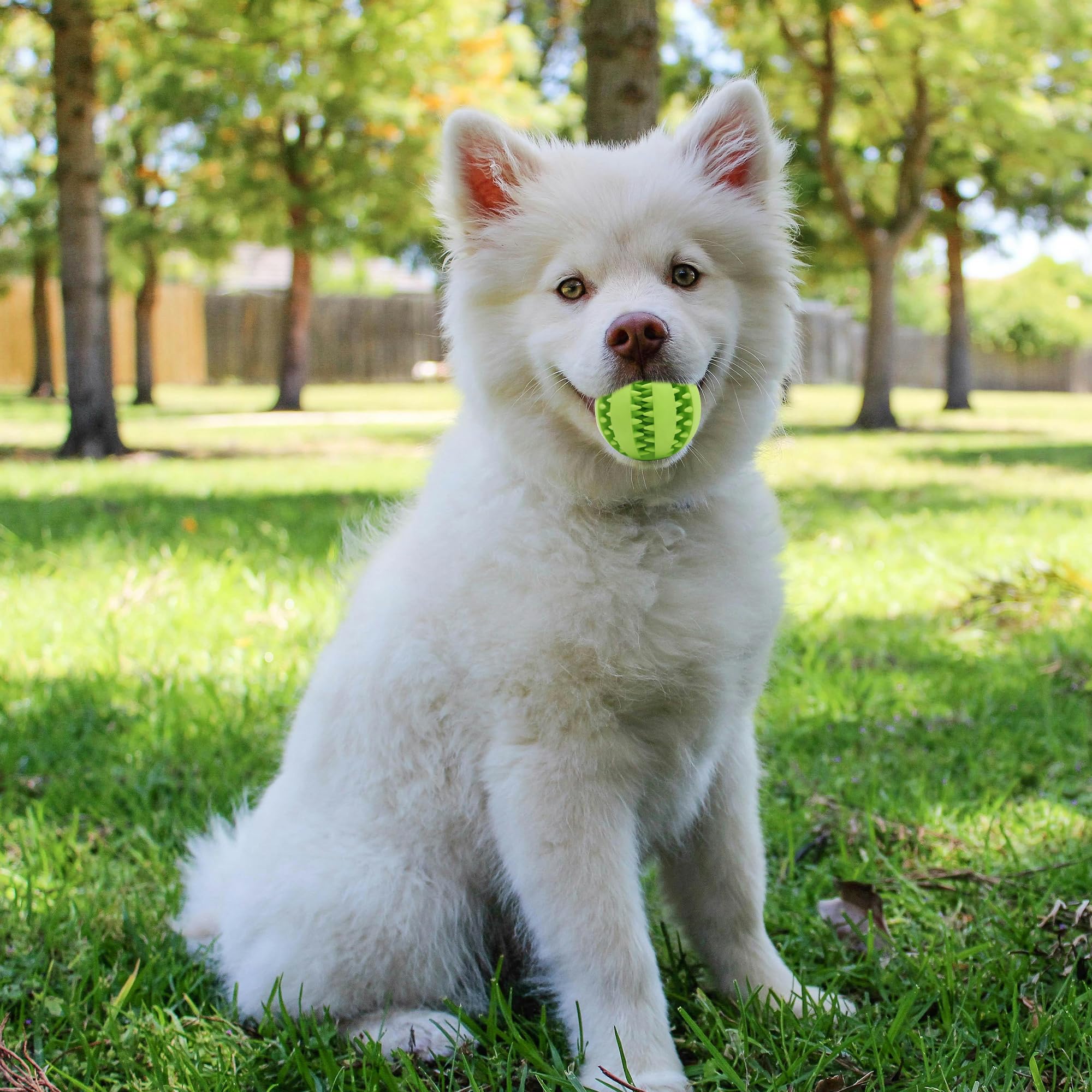 Interactive Dog Treat Ball Toys for Aggressive Chewers Teething Toys to Keeping Them Busy Dogs Balls Food Treats Feeder Chew Bal
