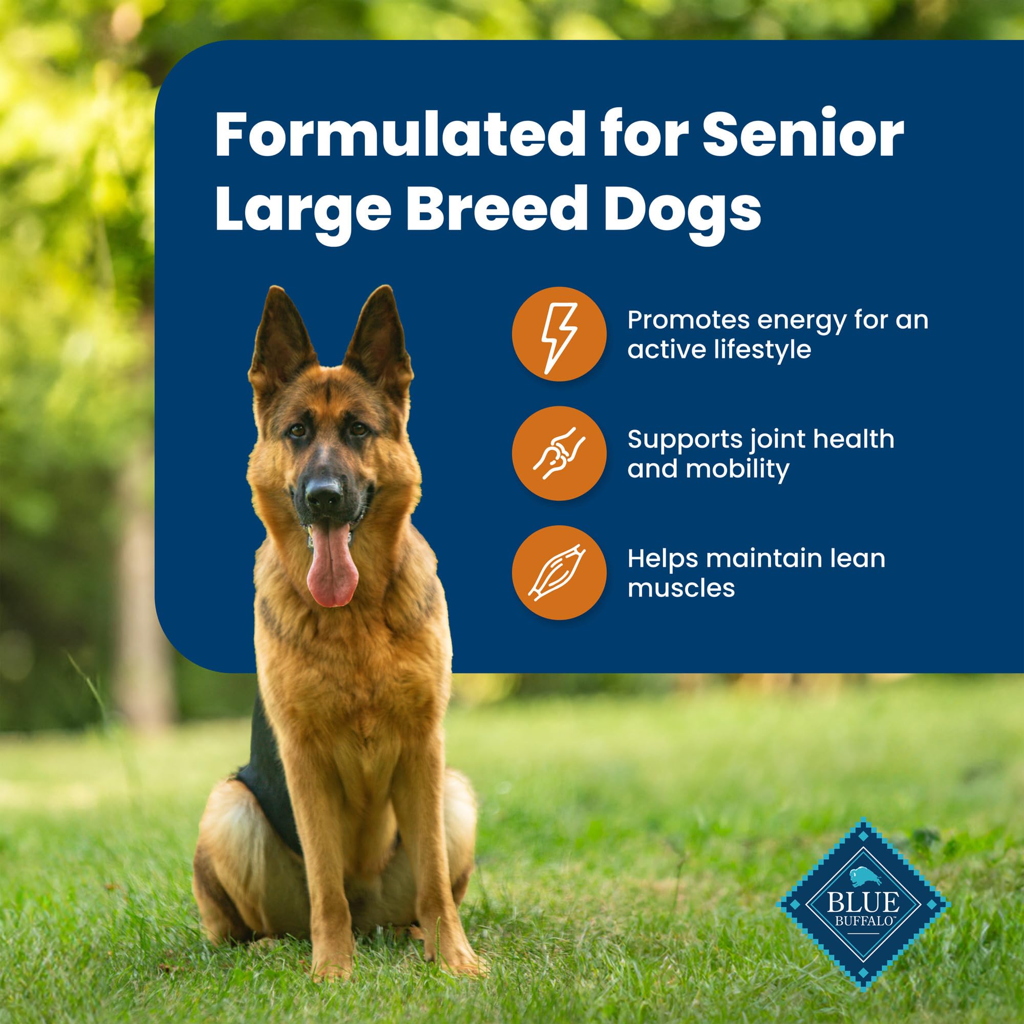 Blue Buffalo Life Protection Formula Large Breed Senior Dry Dog Food, Promotes Joint Health and Immunity, Made with Natural Ingr