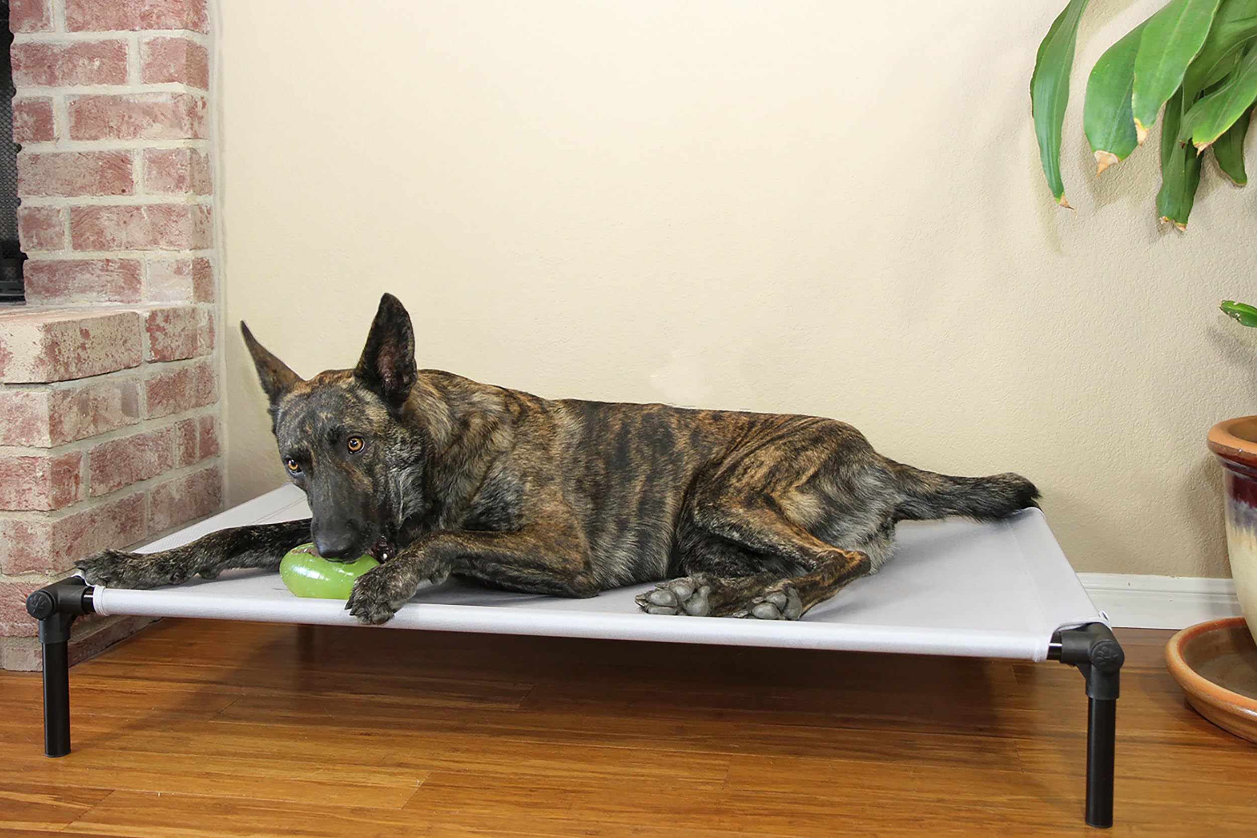 Starmark Dog Zone Bed - X-Large Charcoal Nylon Pet Bed, Model SMDZXLC
